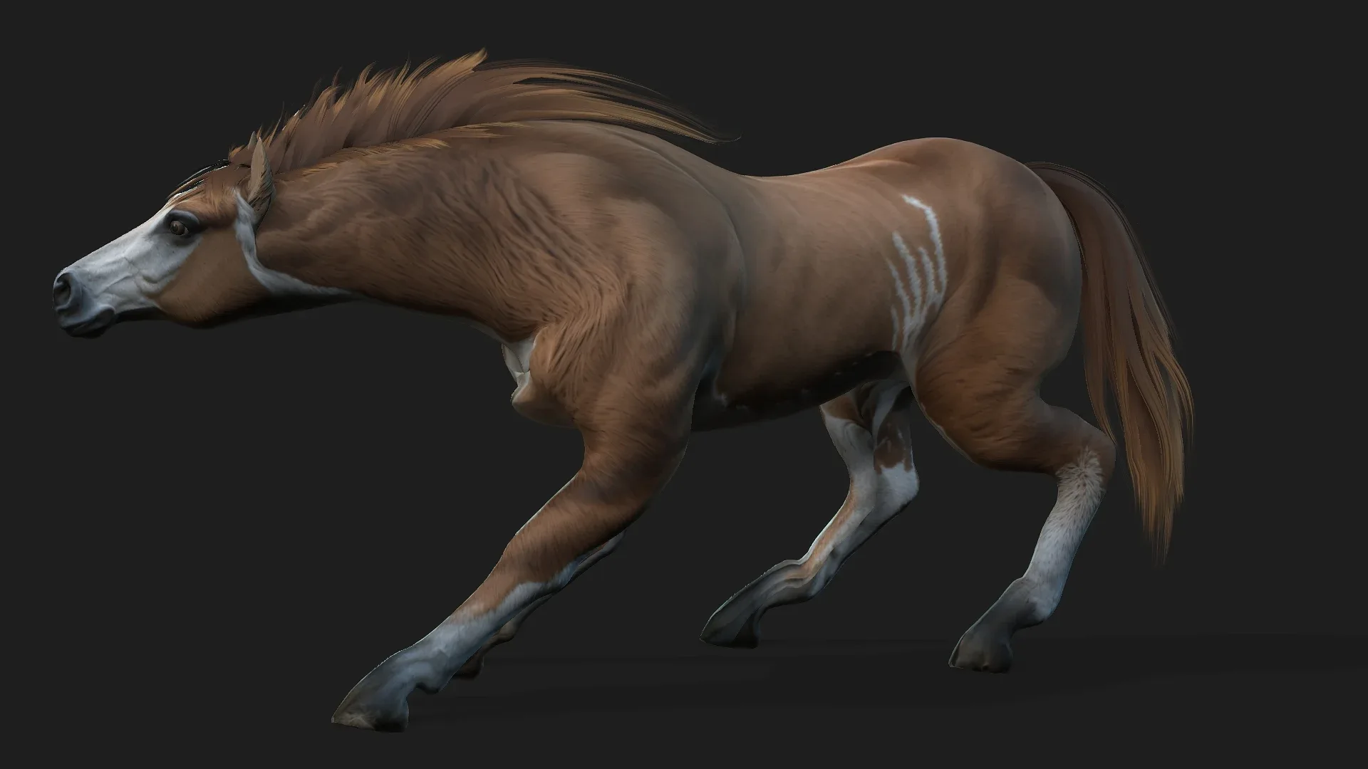 Horse_A3