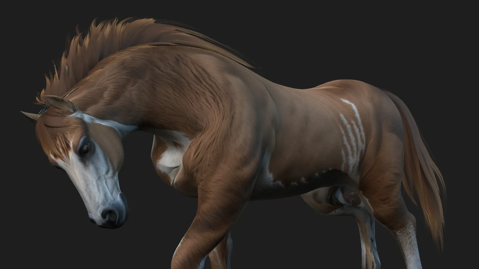 Horse_A3