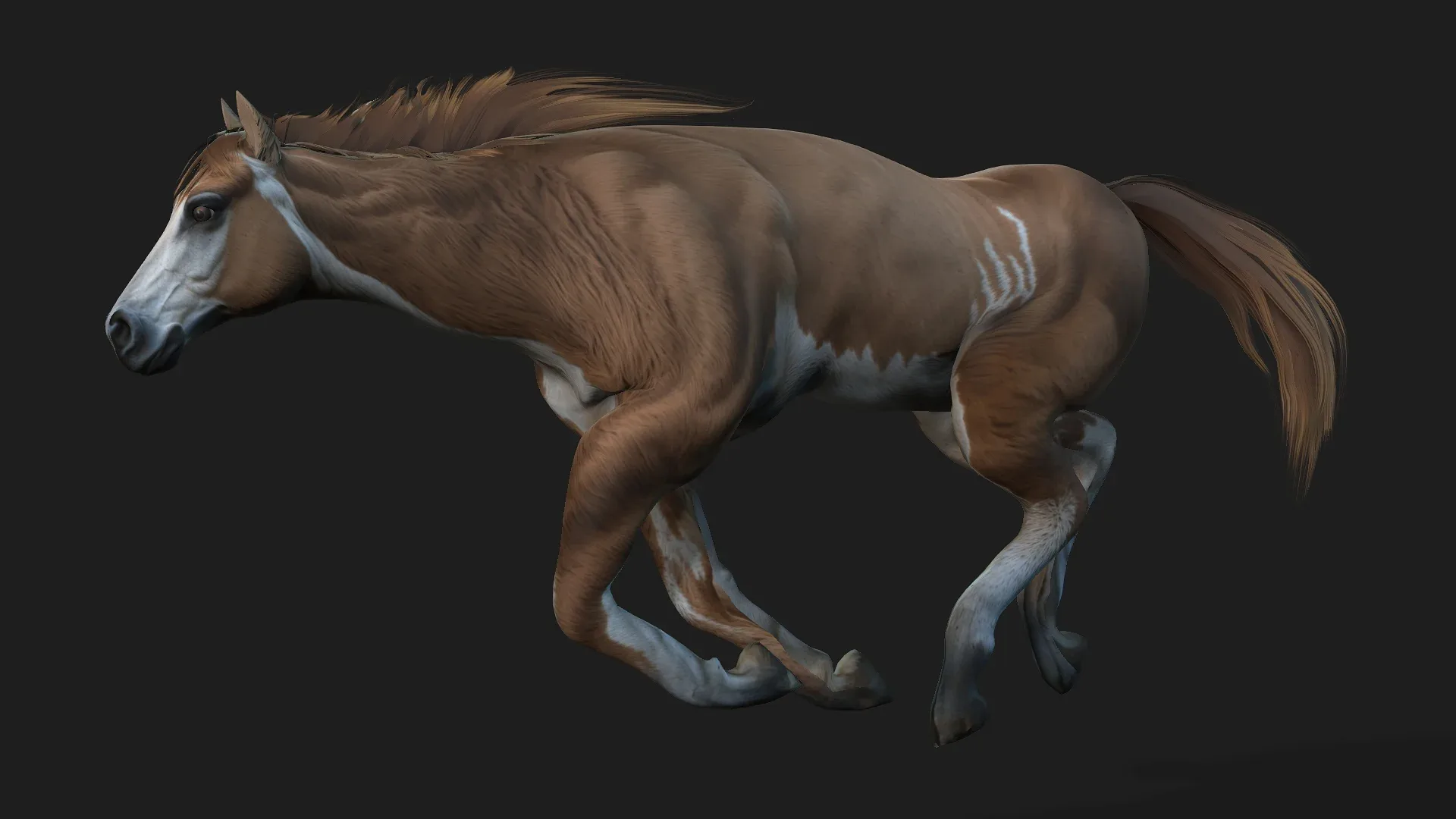 Horse_A3