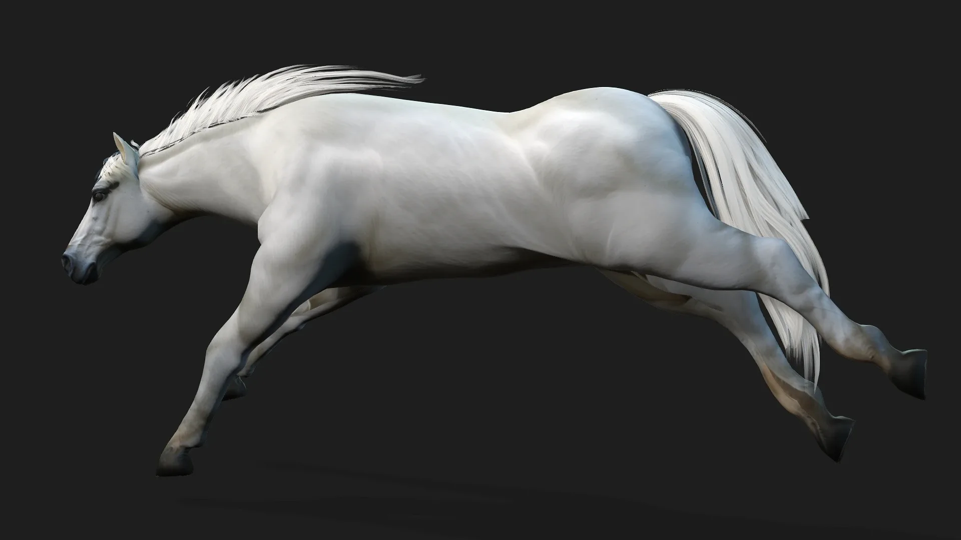 Horse_A5