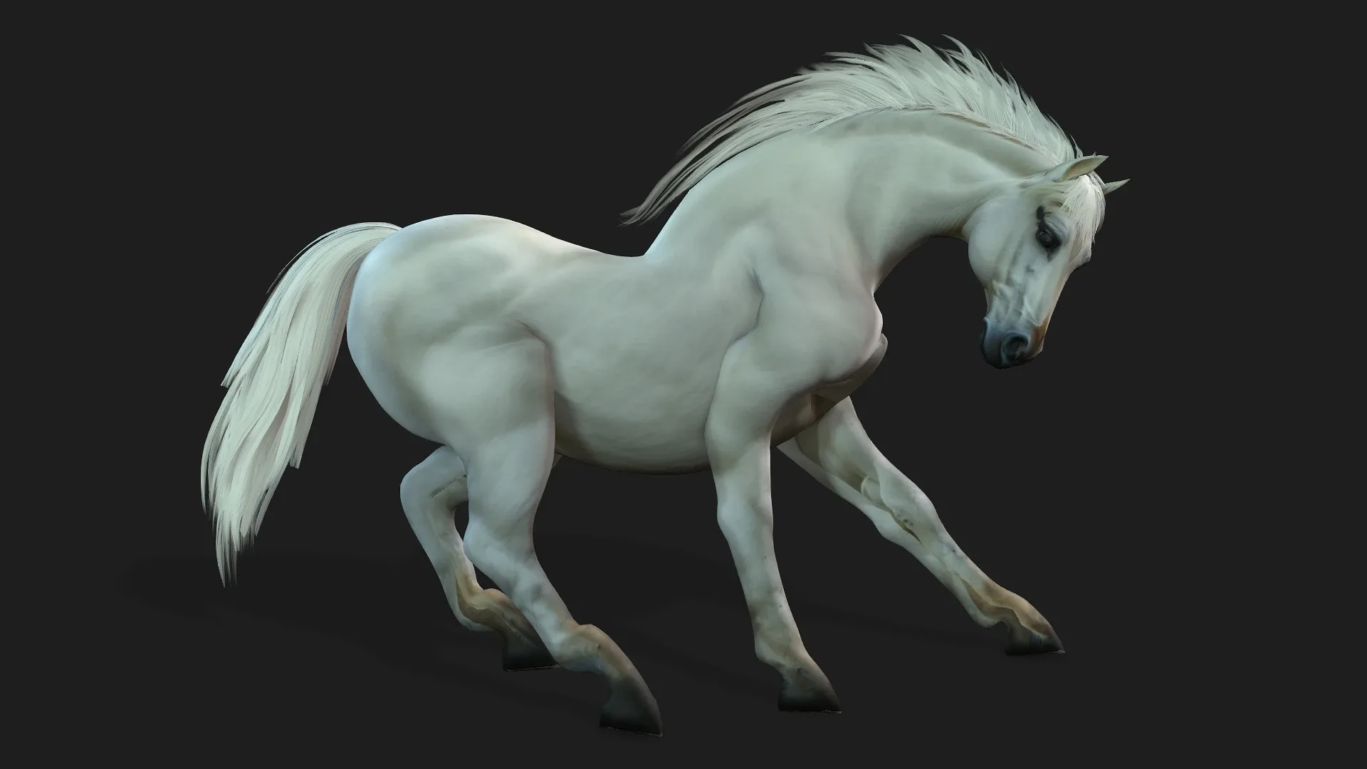 Horse_A5