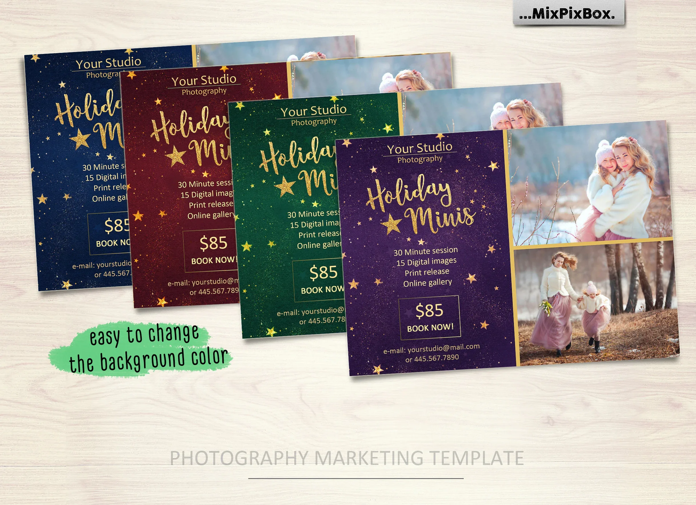 Holiday Mini Session Template 2.0