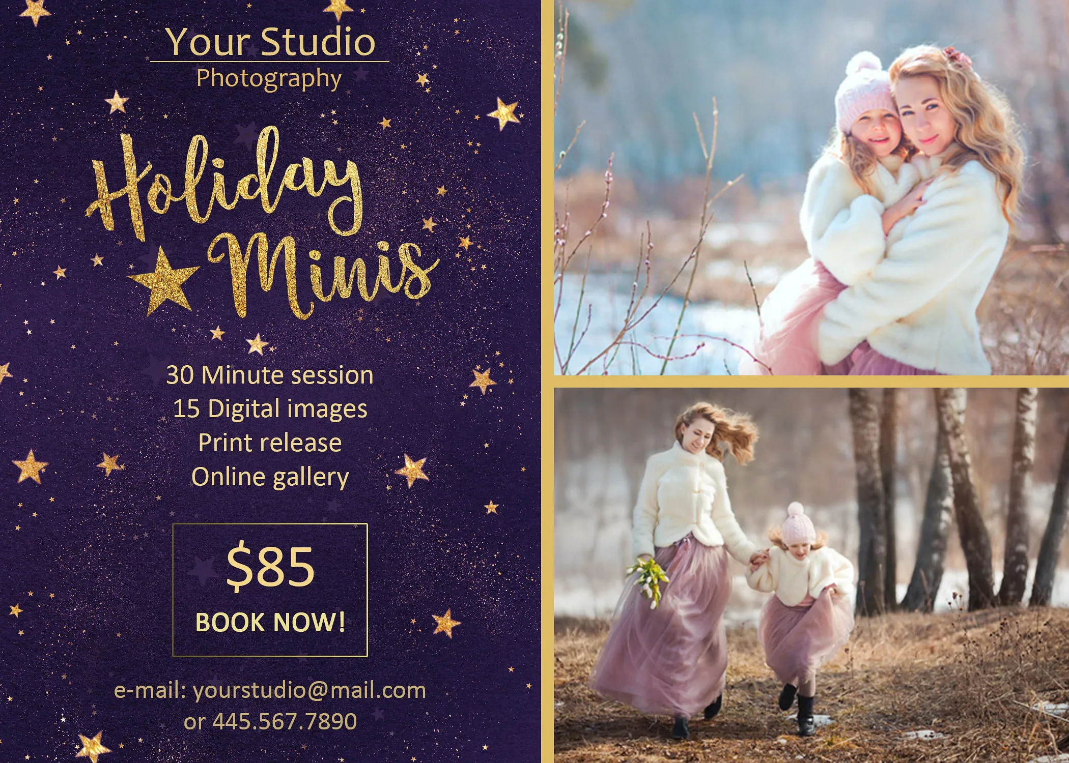 Holiday Mini Session Template 2.0