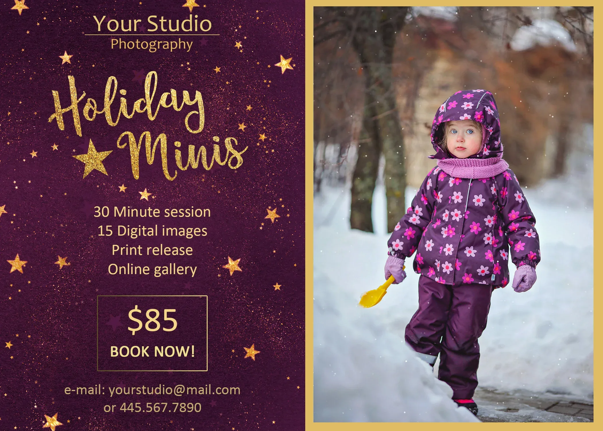 Holiday Mini Session Template 2.0