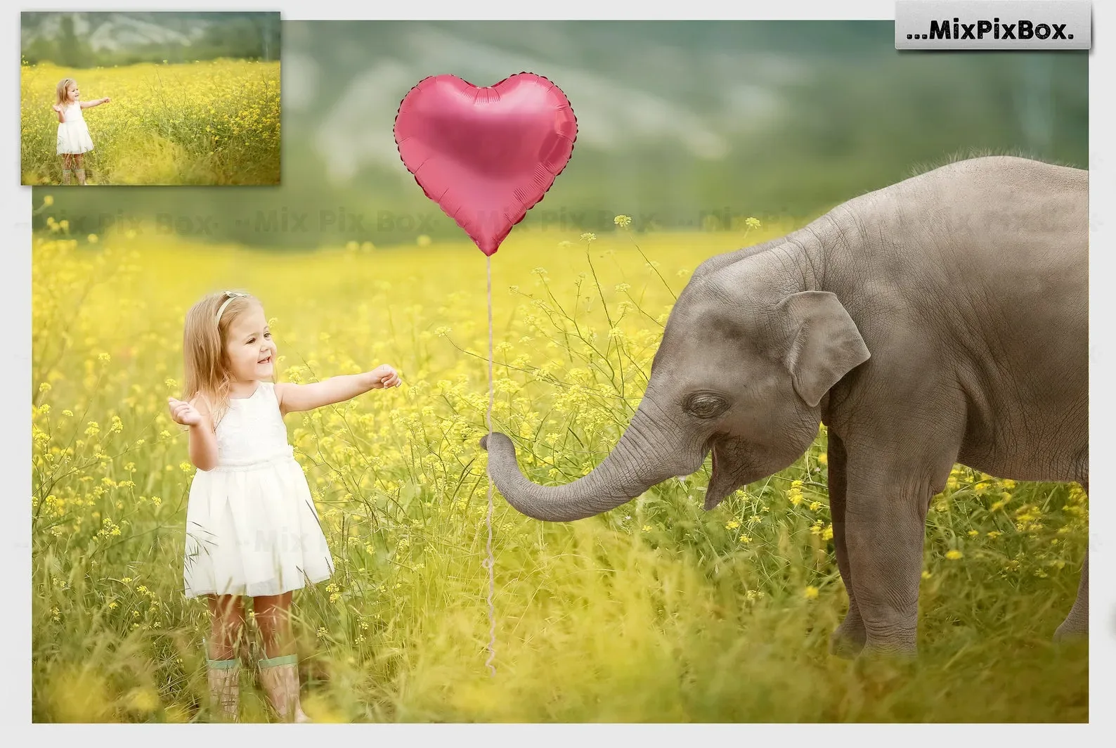 Baby Elephant Photo Overlays