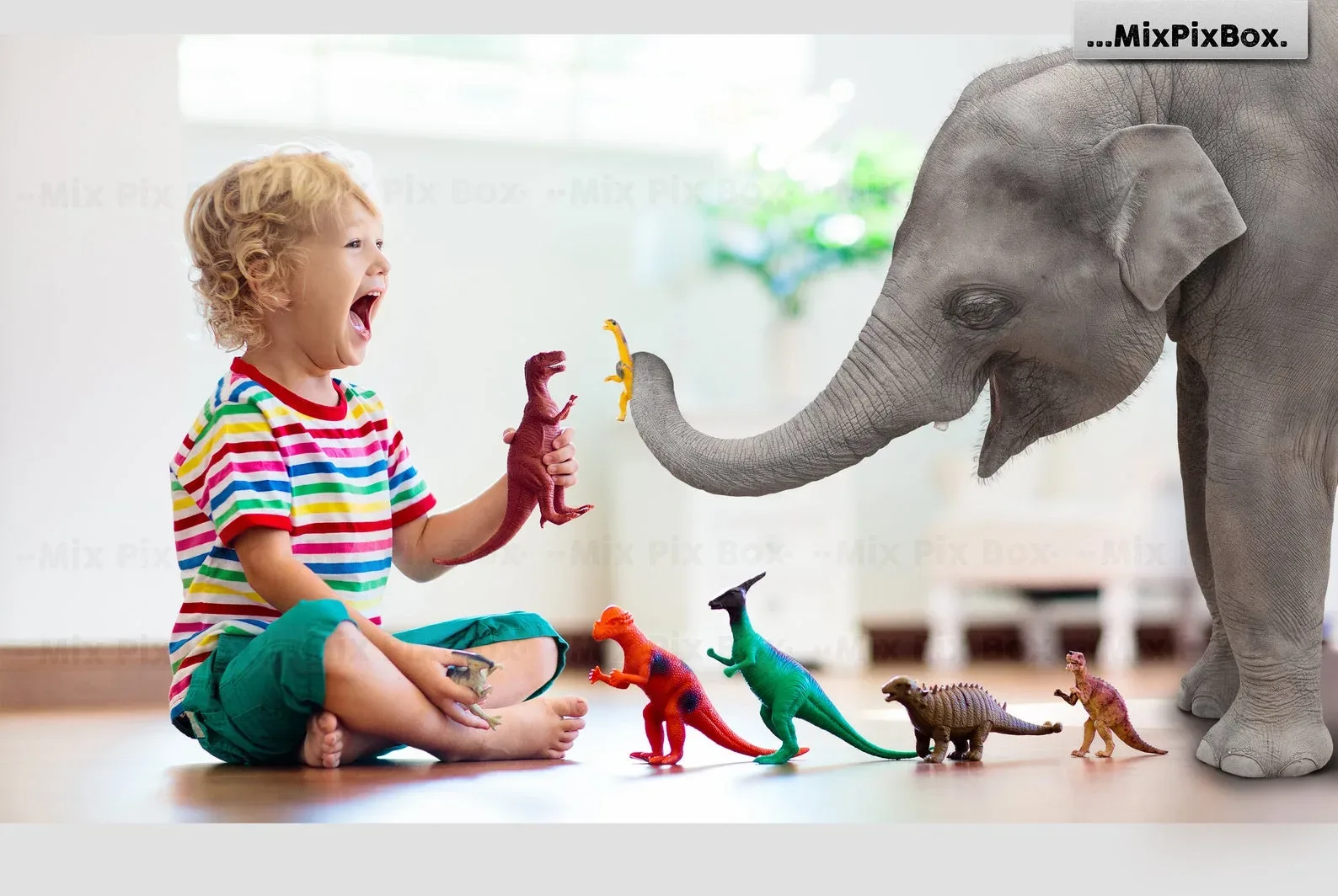 Baby Elephant Photo Overlays