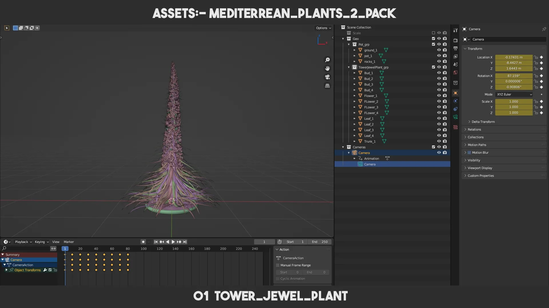 Mediterrean Plants 2 PACK