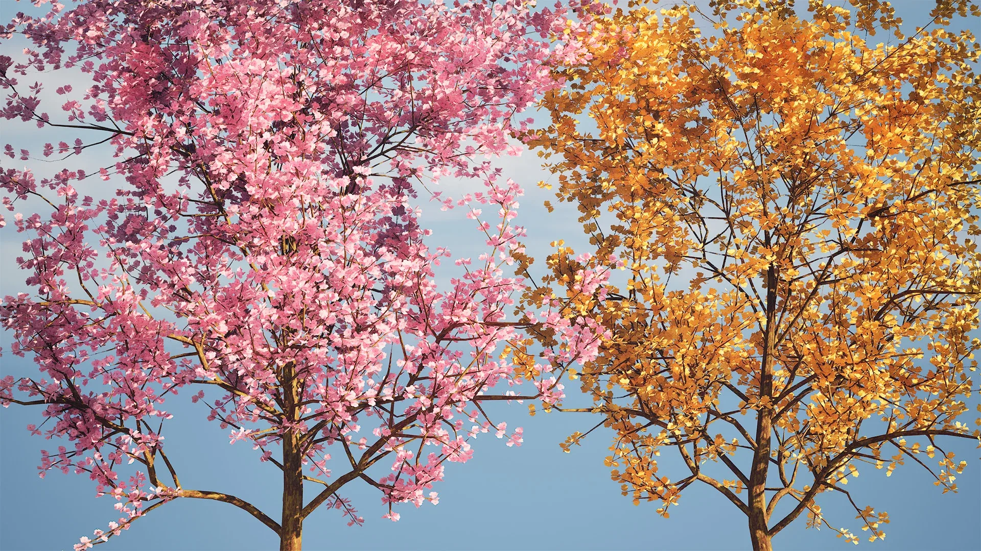 Realistic Low Poly Pink yellow Blossom Trees 3D Model