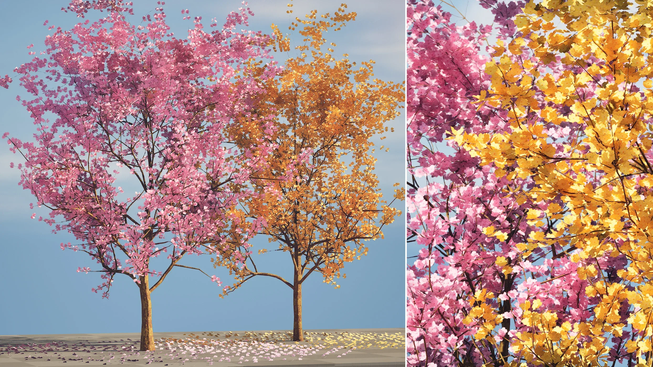 Realistic Low Poly Pink yellow Blossom Trees 3D Model