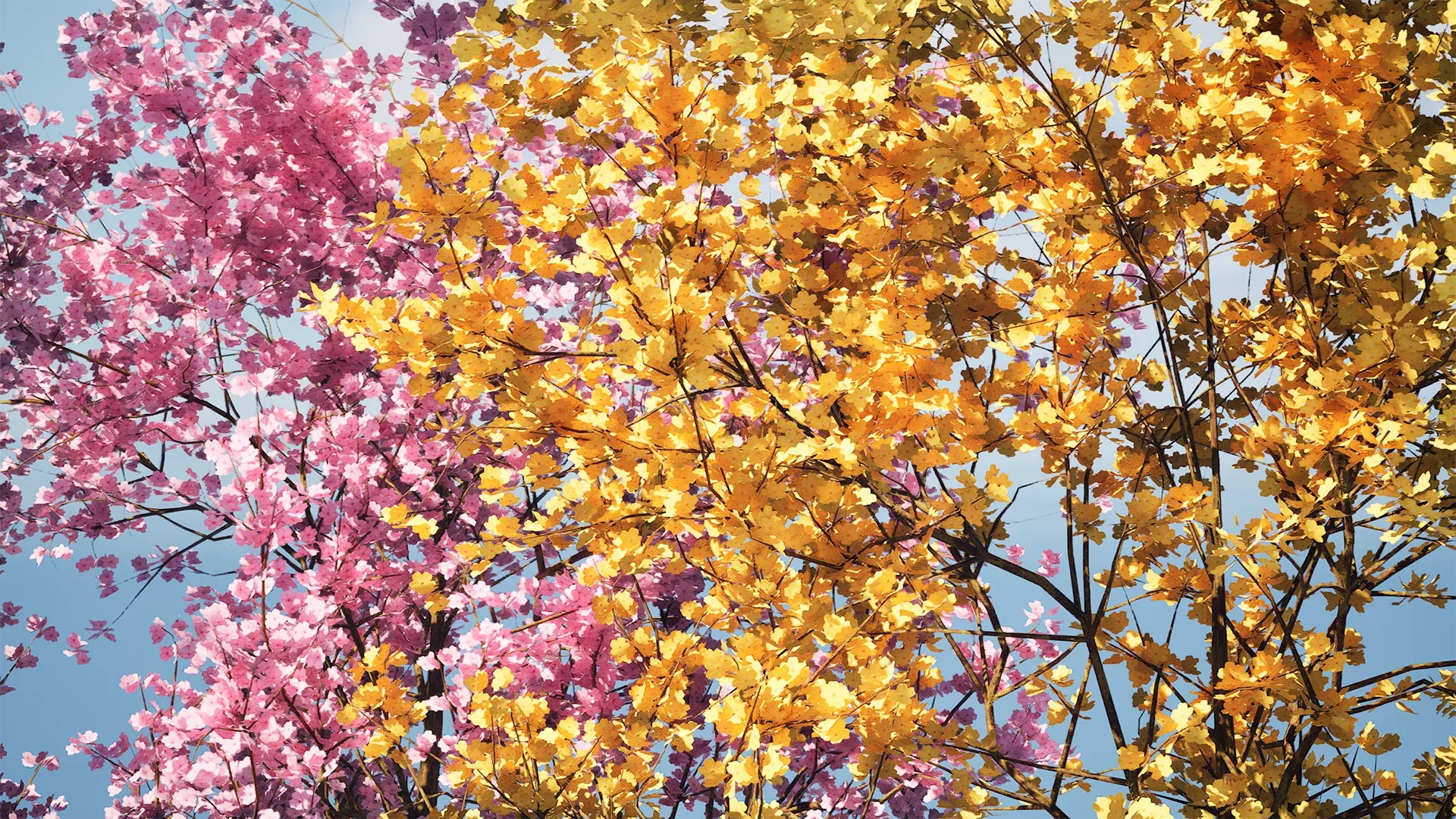 Realistic Low Poly Pink yellow Blossom Trees 3D Model