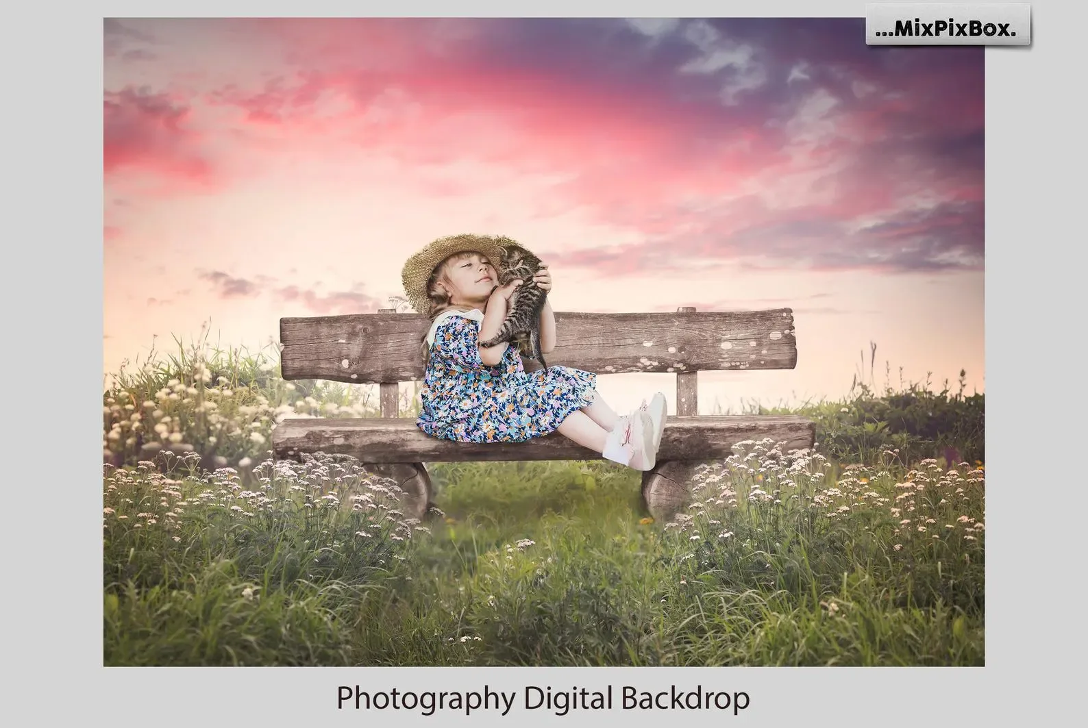 Park Bench Backdrops