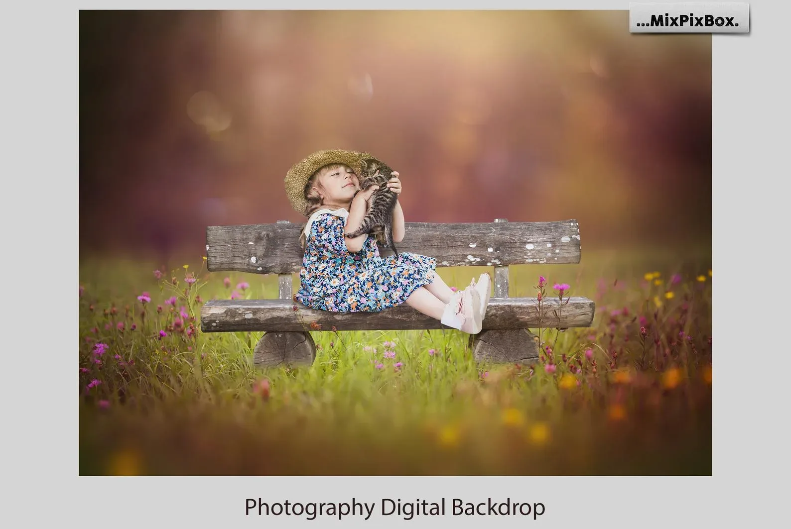 Park Bench Backdrops