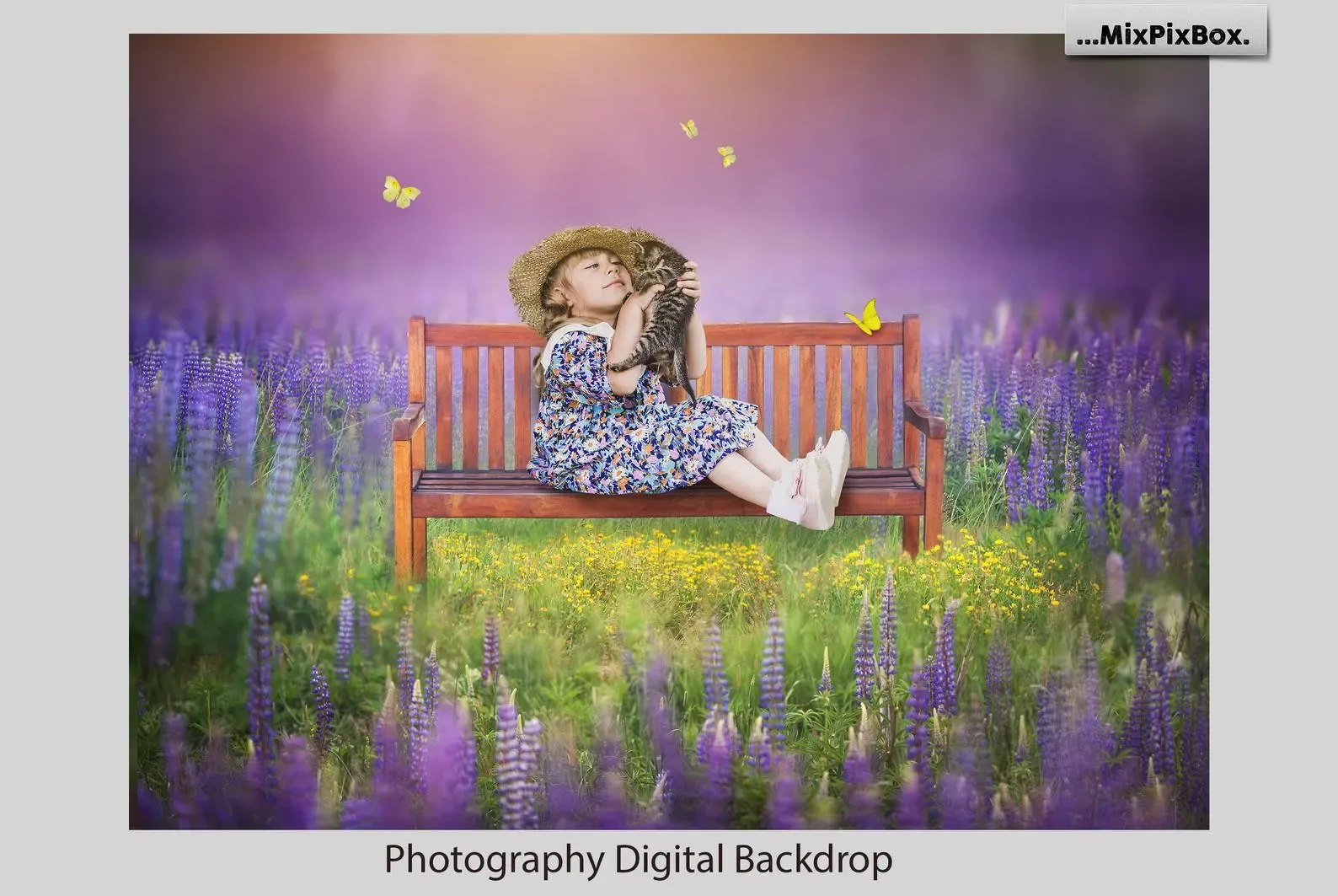 Park Bench Backdrops