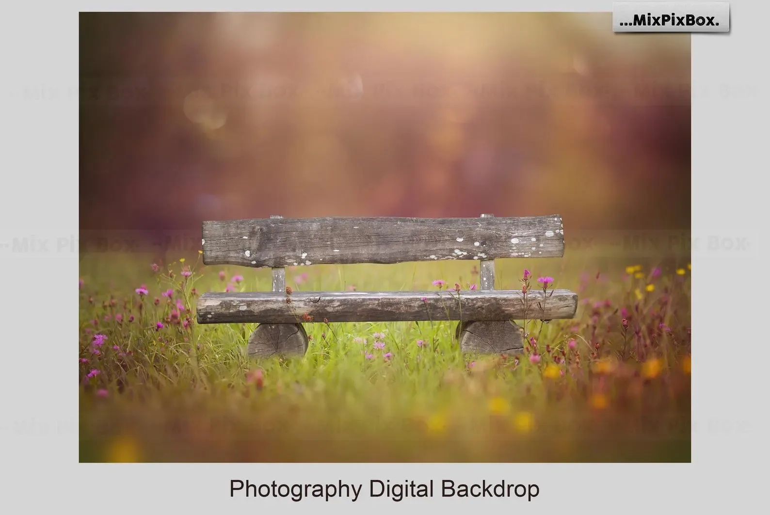 Park Bench Backdrops