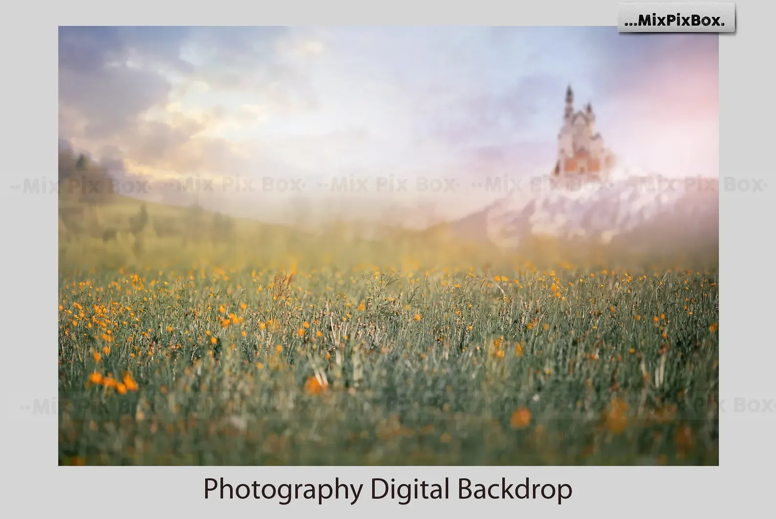 Castle backdrops