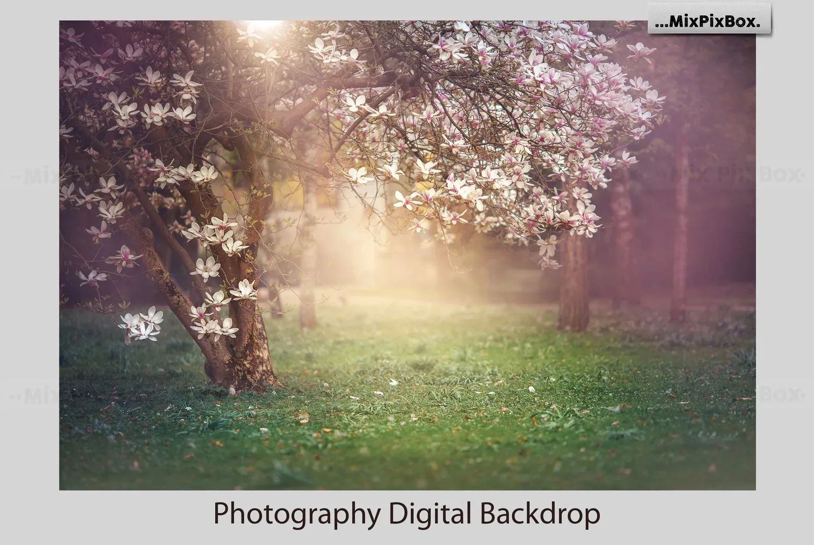 Spring Digital Backdrop