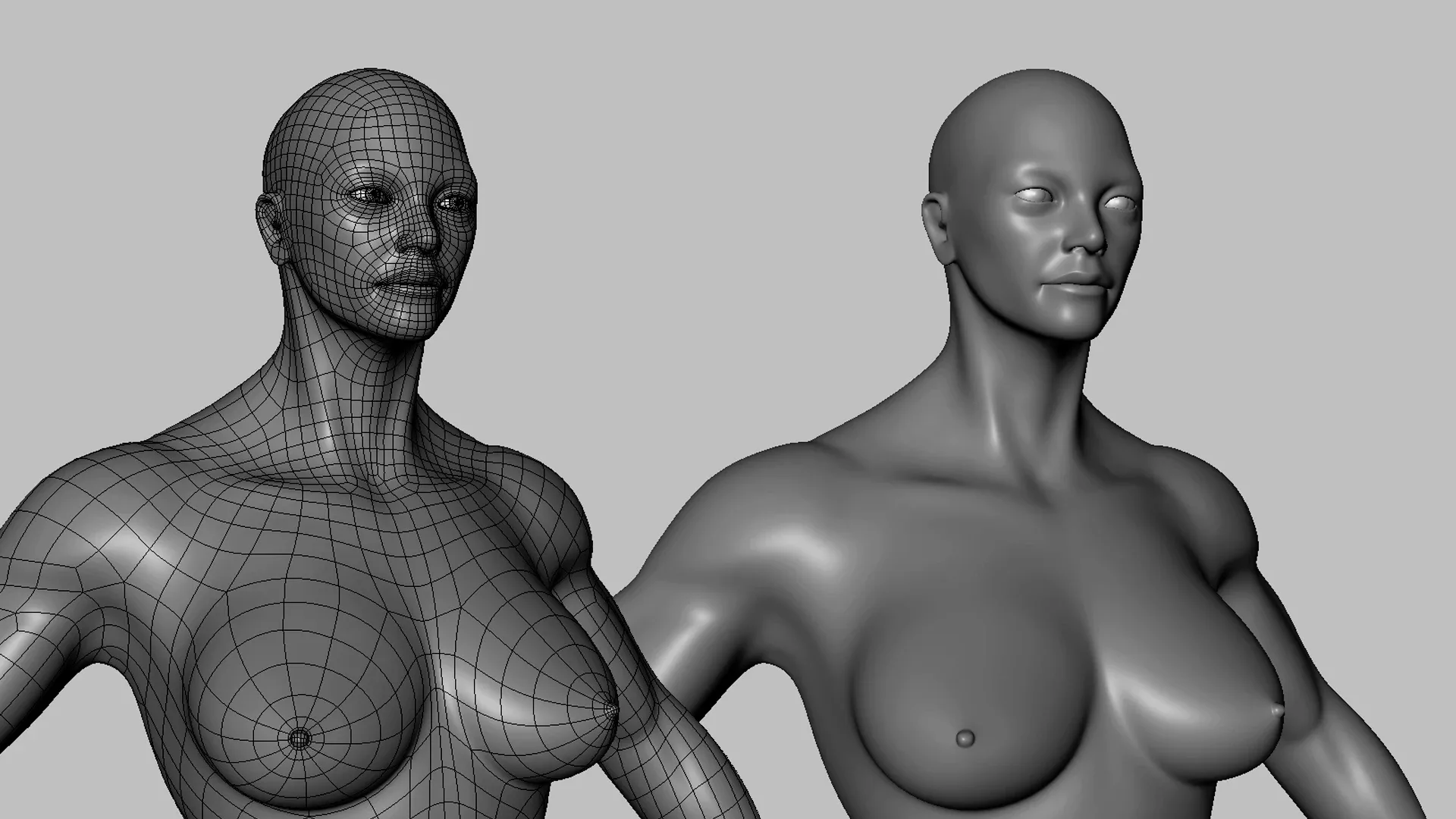 Blender - Muscular Male & Female Anatomy - Topology + UV