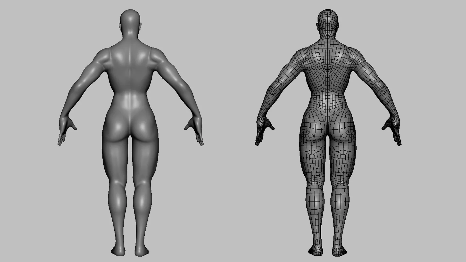 Blender - Muscular Male & Female Anatomy - Topology + UV