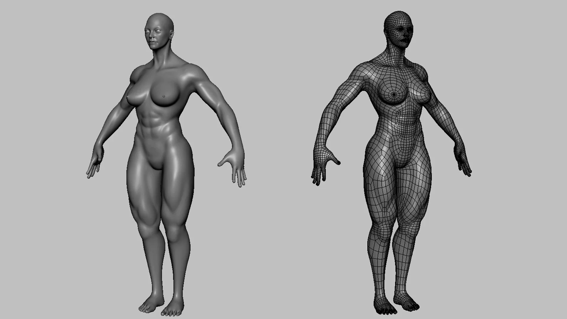 Blender - Muscular Male & Female Anatomy - Topology + UV