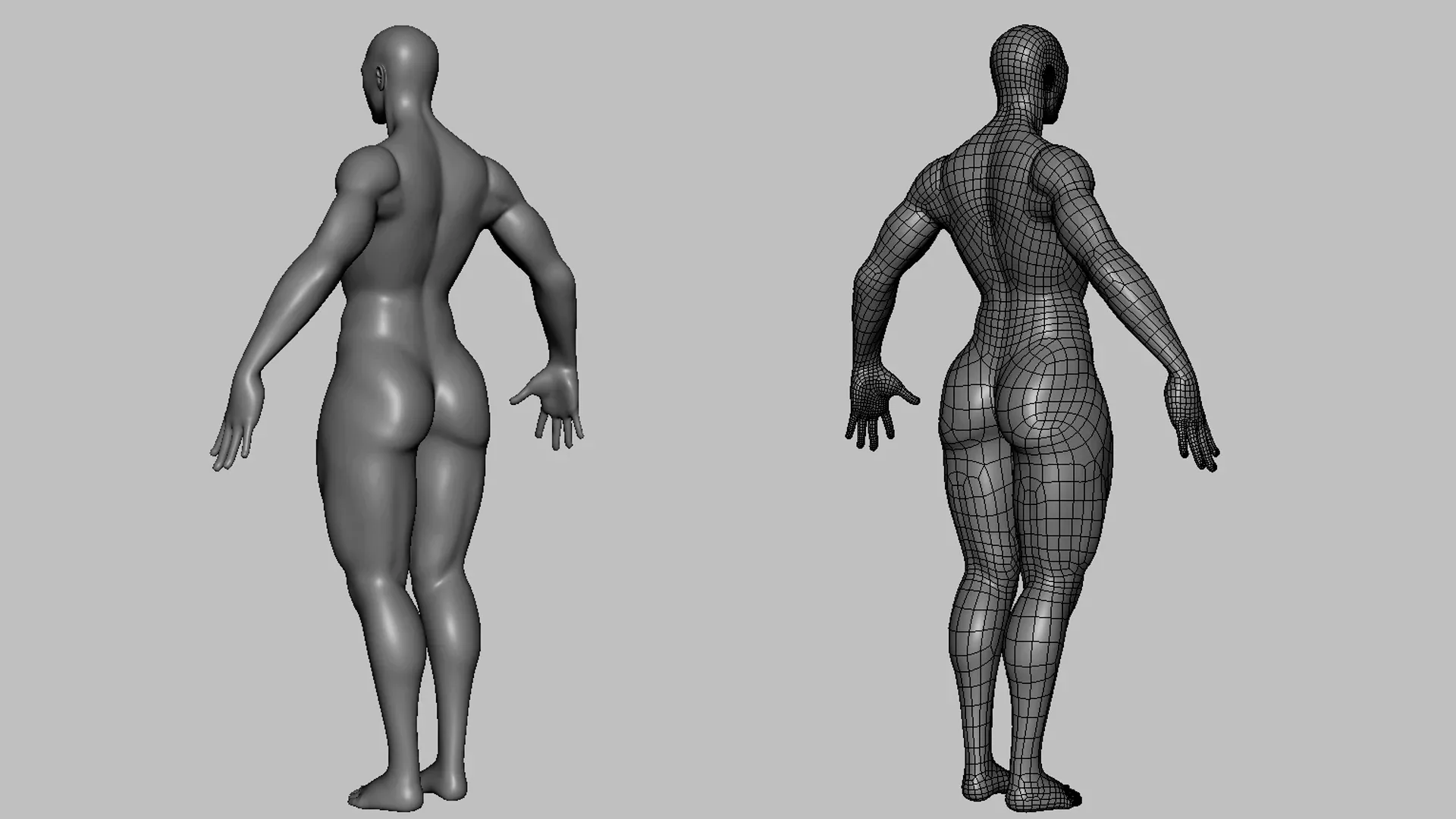 Blender - Muscular Male & Female Anatomy - Topology + UV