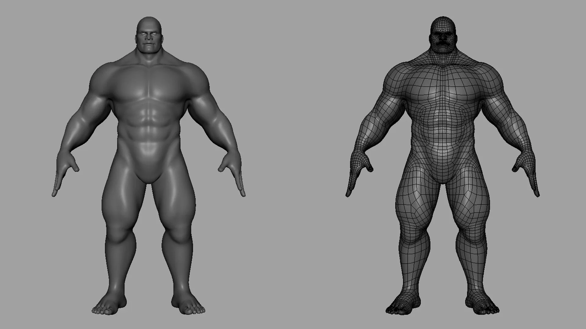 Blender - Muscular Male & Female Anatomy - Topology + UV