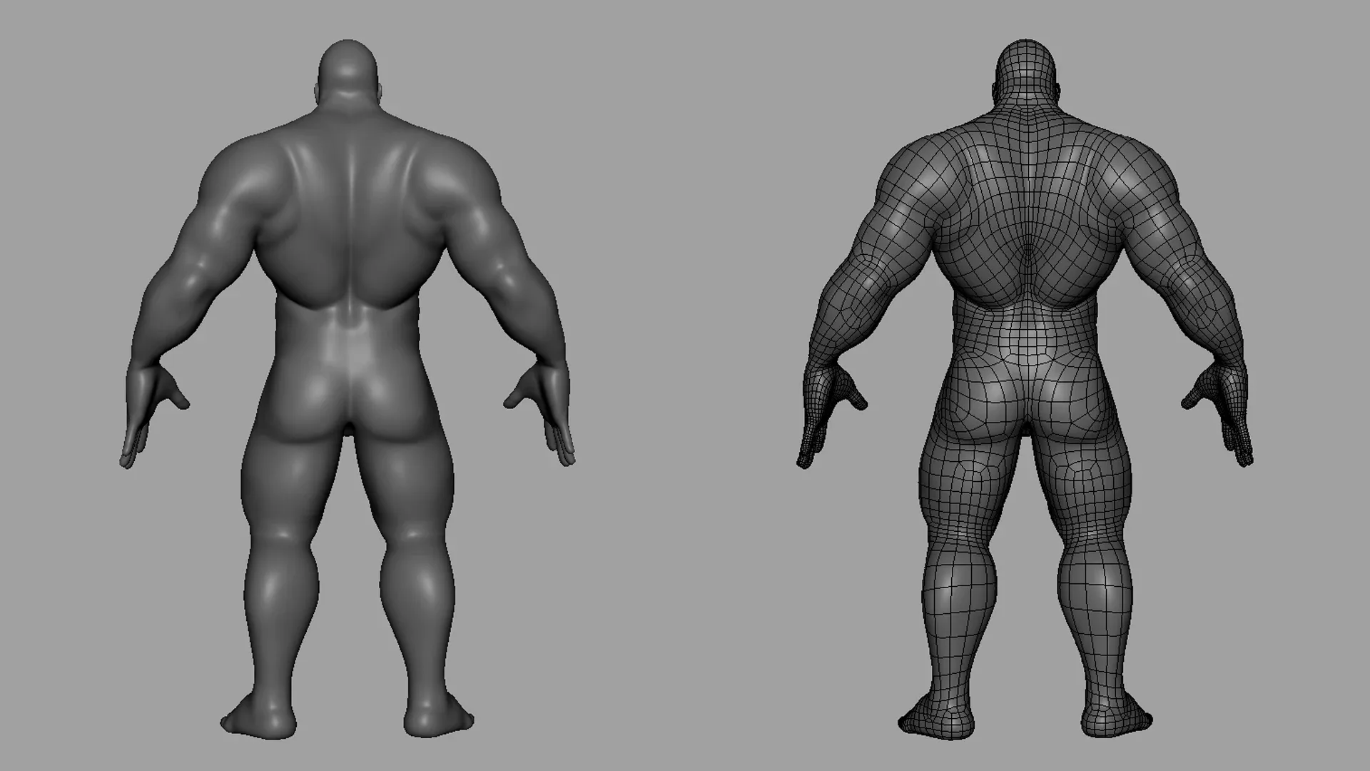 Blender - Muscular Male & Female Anatomy - Topology + UV