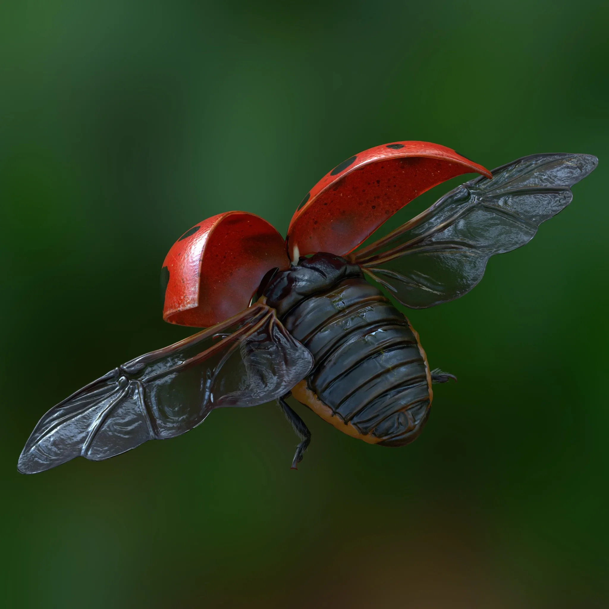 Hyper-realistic Ladybug Rig