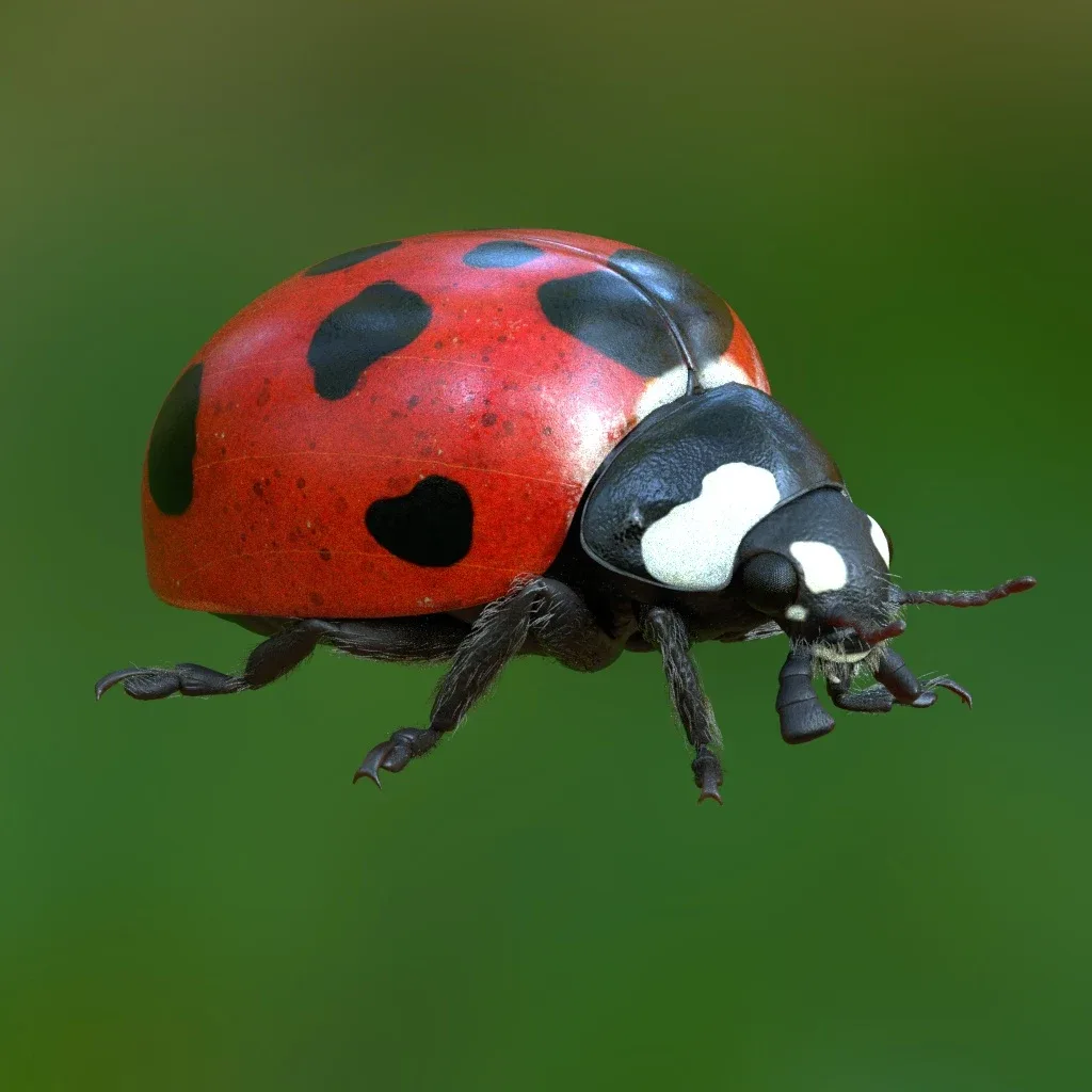 Hyper-realistic Ladybug Rig