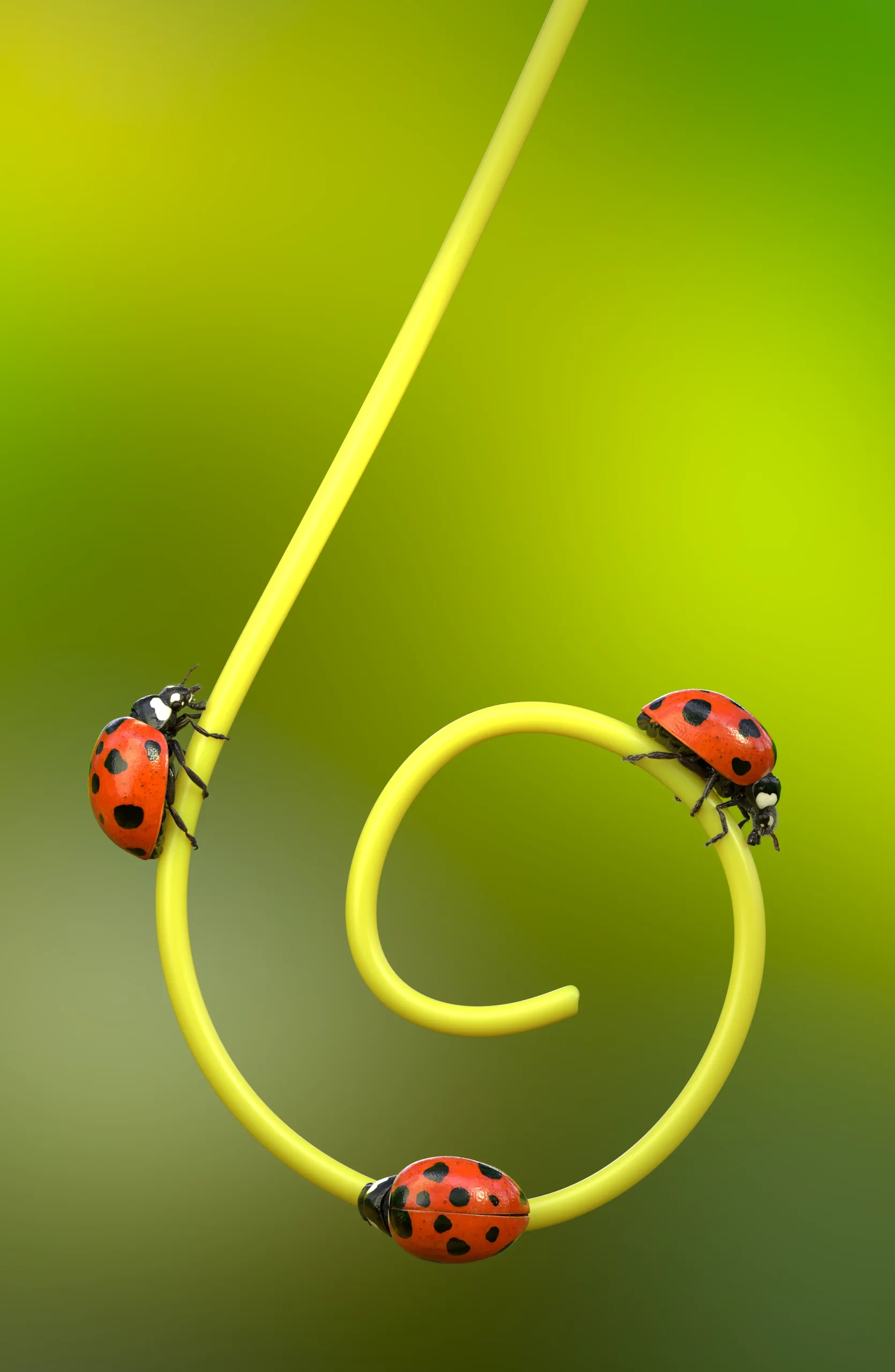 Hyper-realistic Ladybug Rig