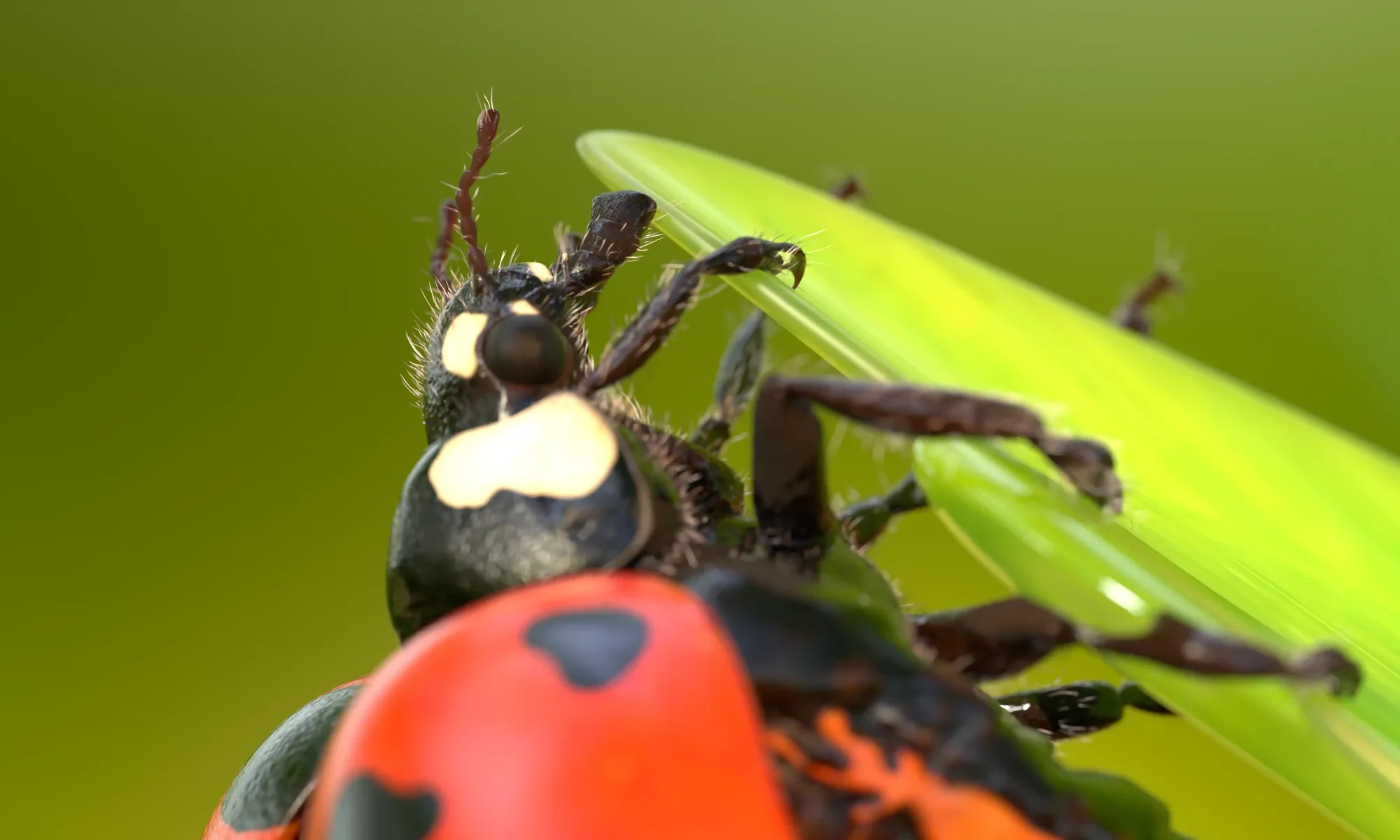 Hyper-realistic Ladybug Rig