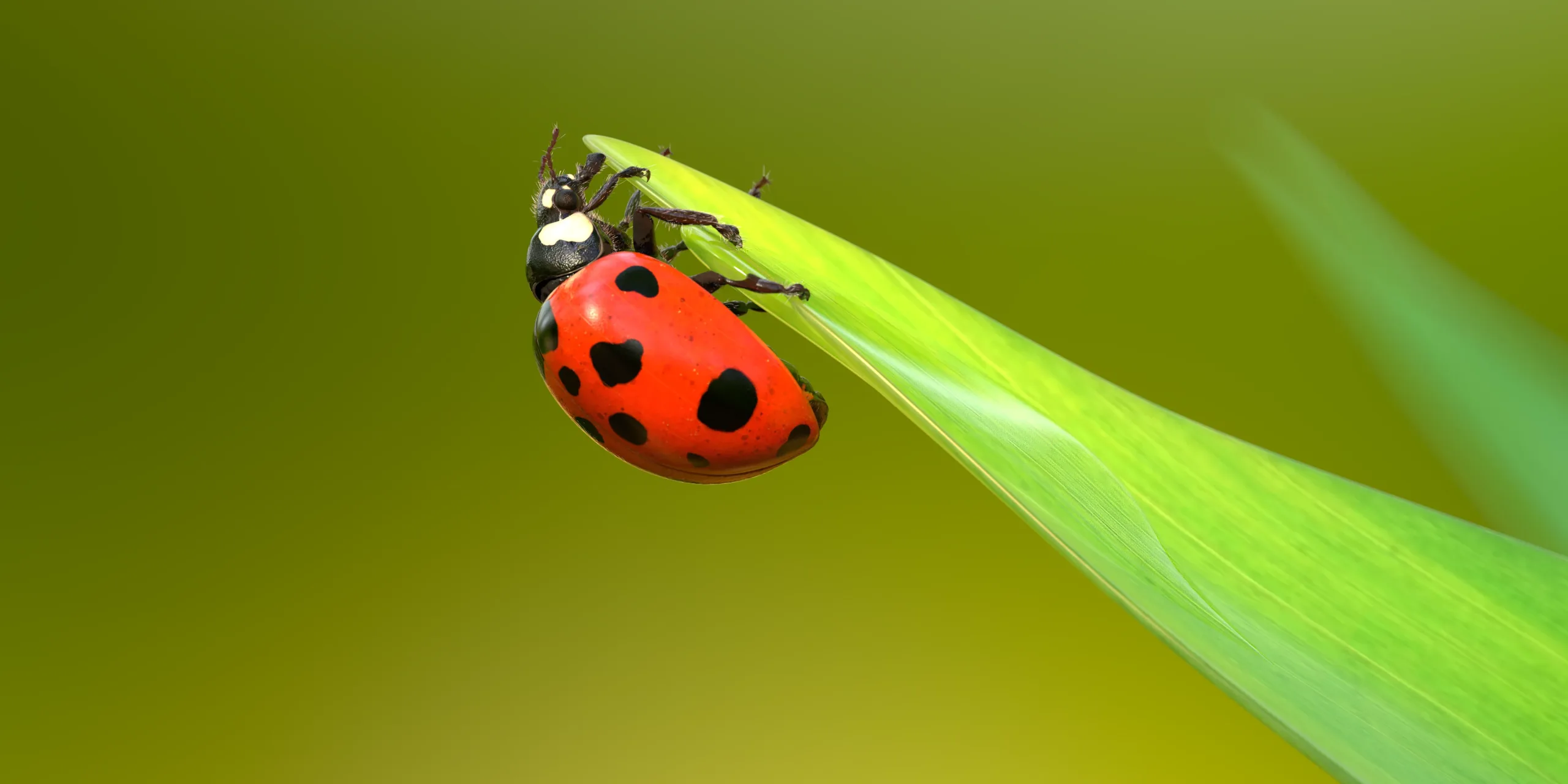 Hyper-realistic Ladybug Rig