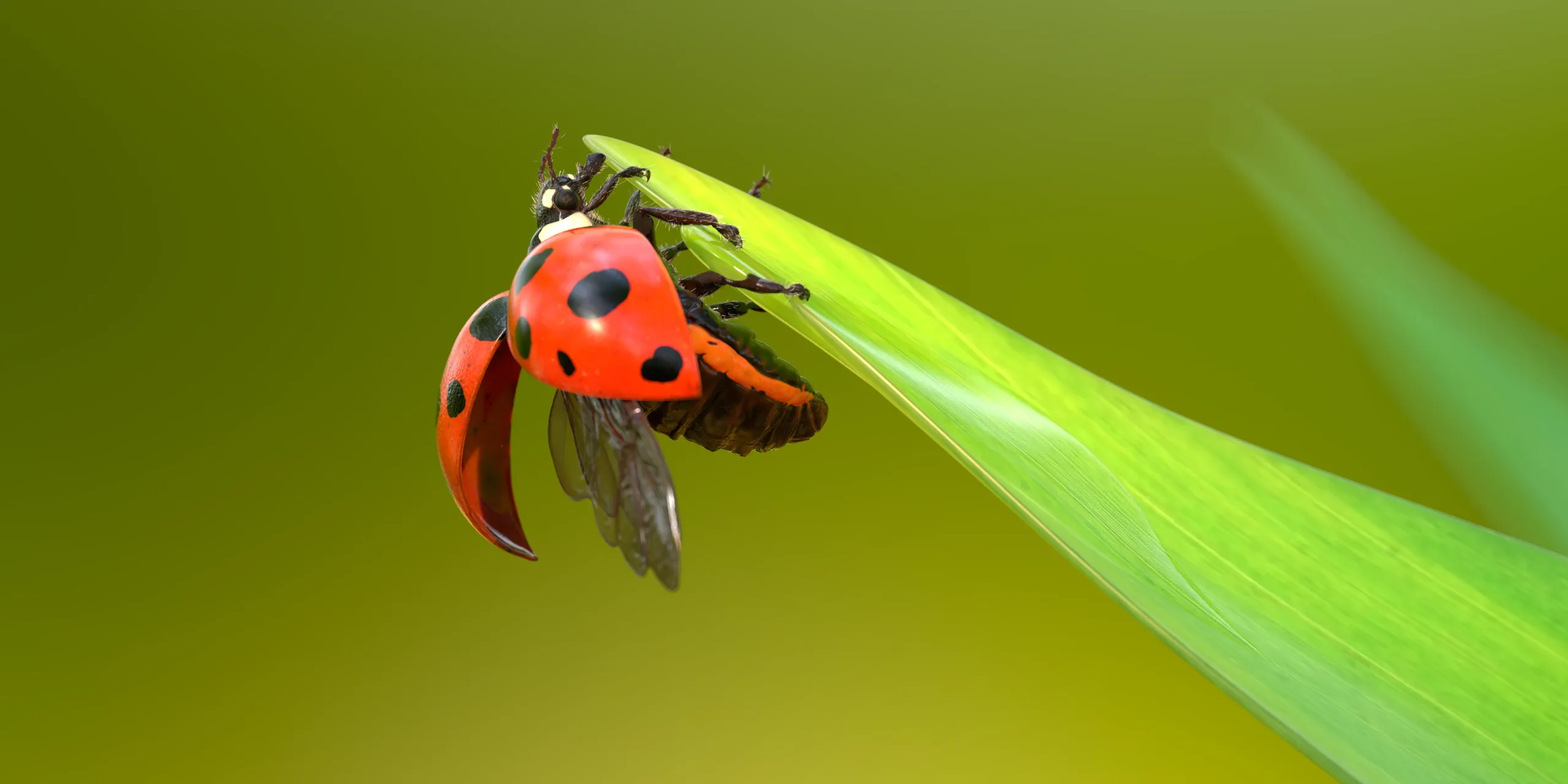 Hyper-realistic Ladybug Rig