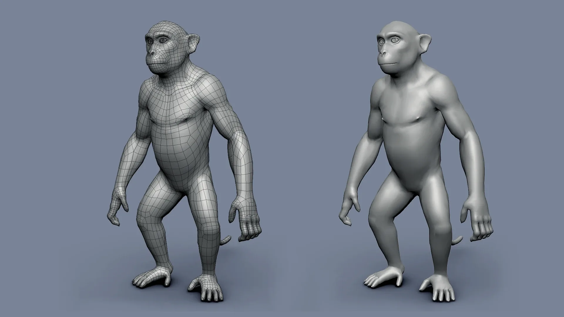 Monkey BaseMesh - Topology + UV Map