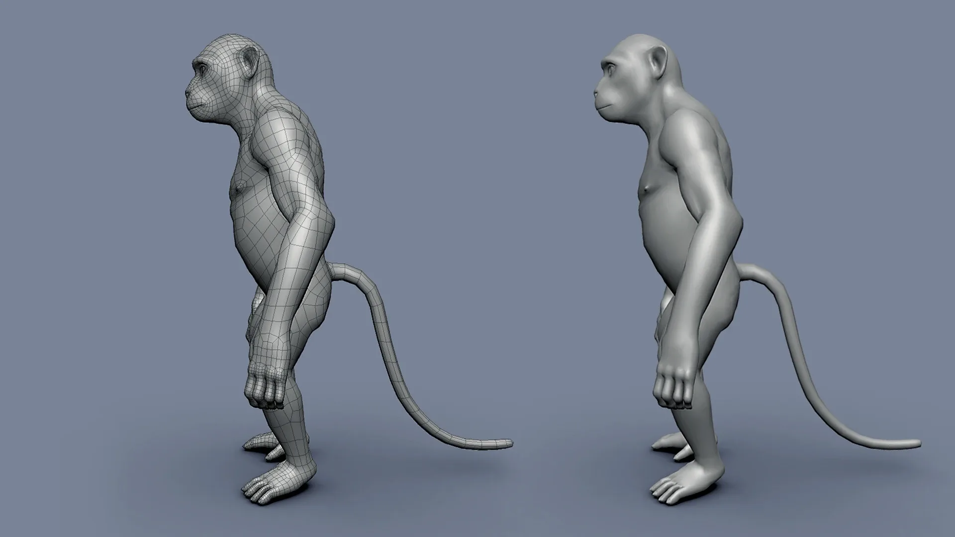 Monkey BaseMesh - Topology + UV Map