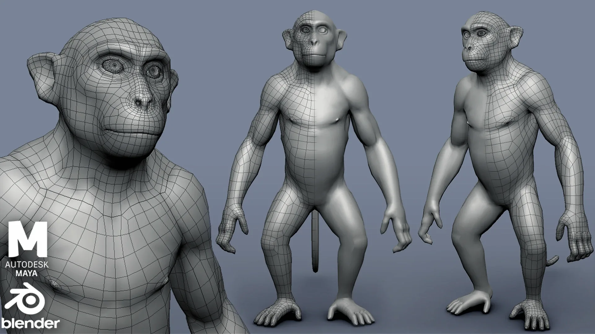 Monkey BaseMesh - Topology + UV Map