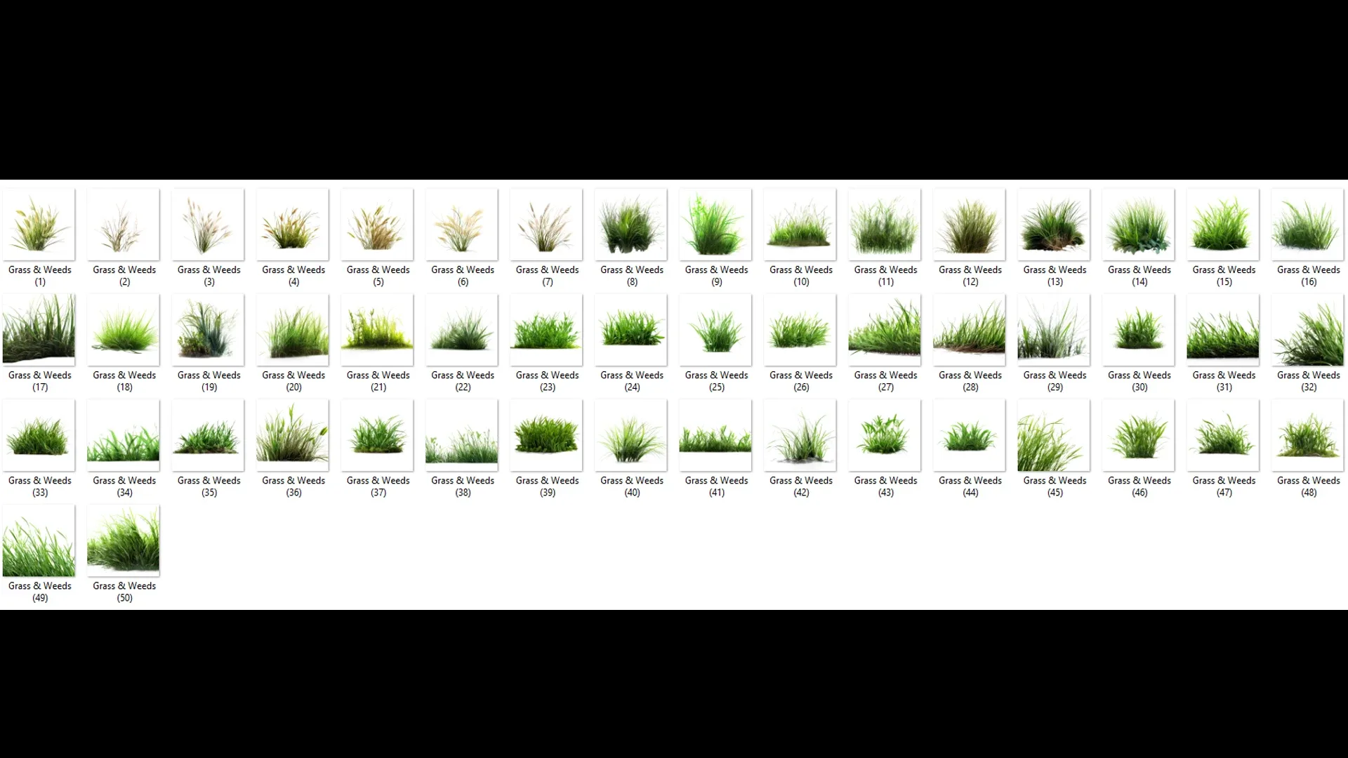 100 Grass and Weeds Images (PNG & Transparent Files)-4K- High Quality