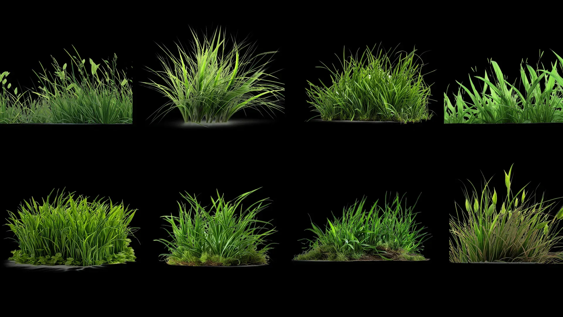 100 Grass and Weeds Images (PNG & Transparent Files)-4K- High Quality