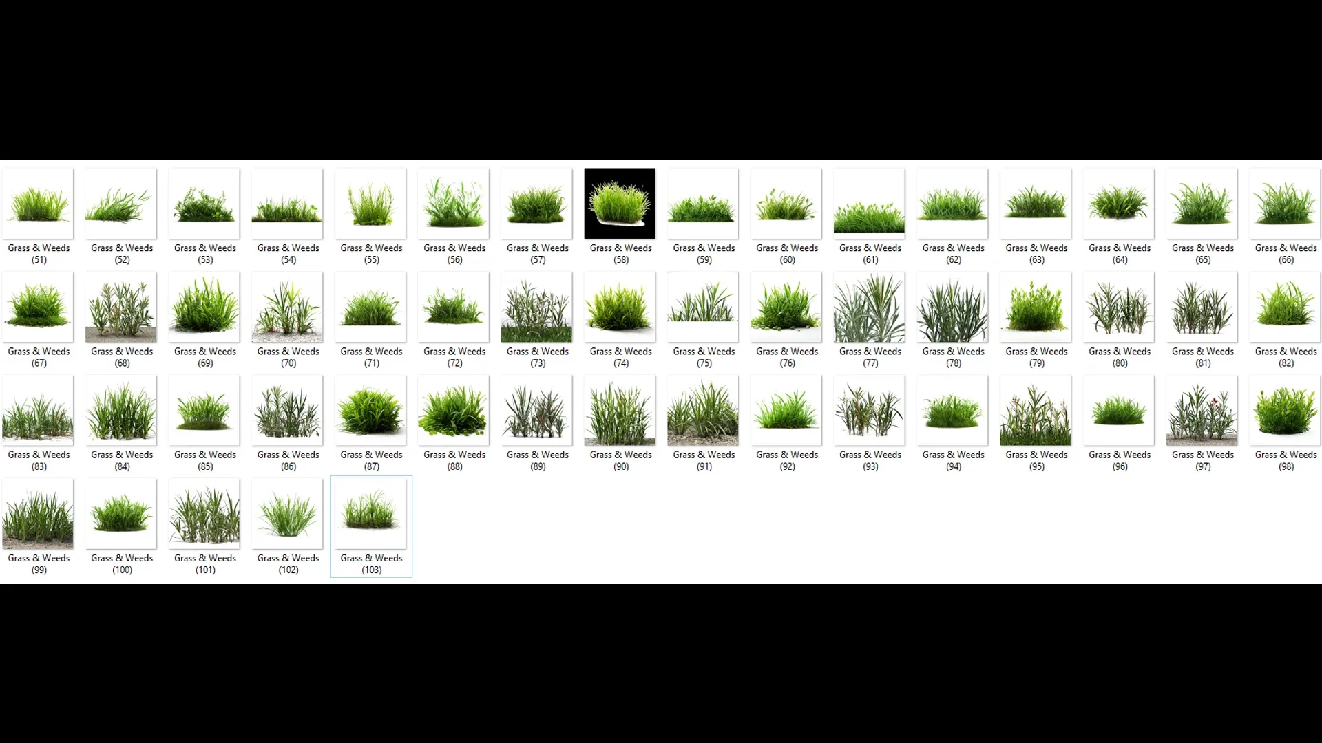 100 Grass and Weeds Images (PNG & Transparent Files)-4K- High Quality