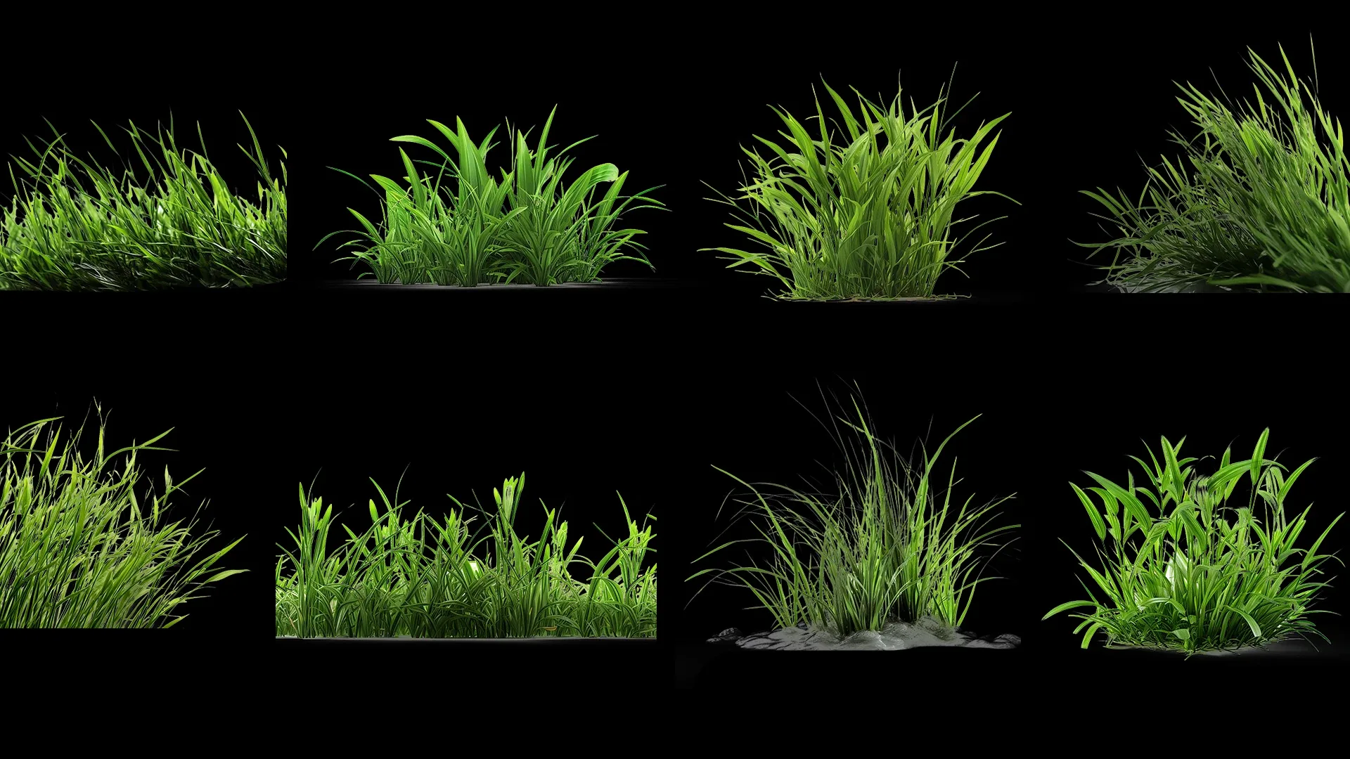 100 Grass and Weeds Images (PNG & Transparent Files)-4K- High Quality