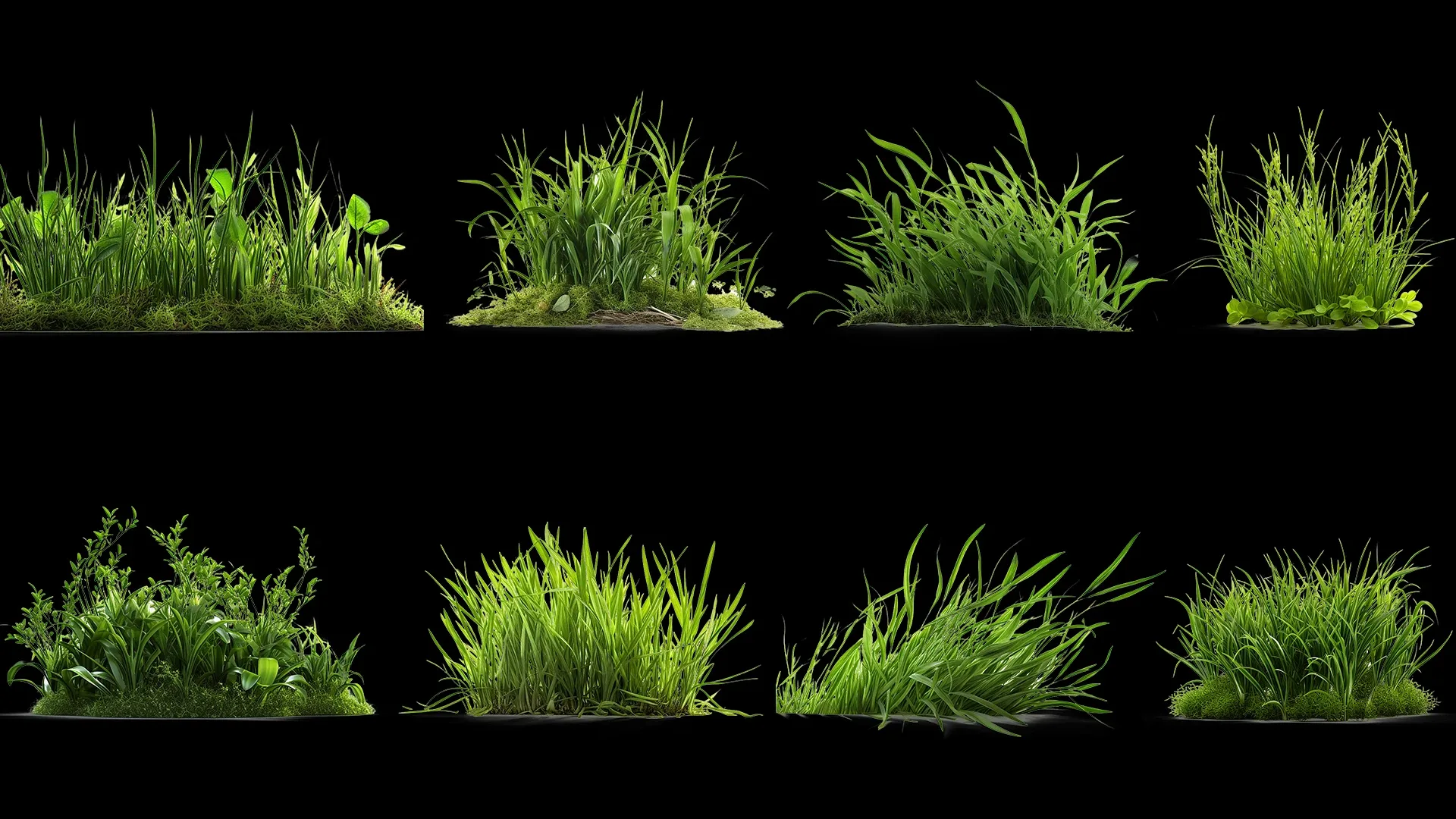 100 Grass and Weeds Images (PNG & Transparent Files)-4K- High Quality