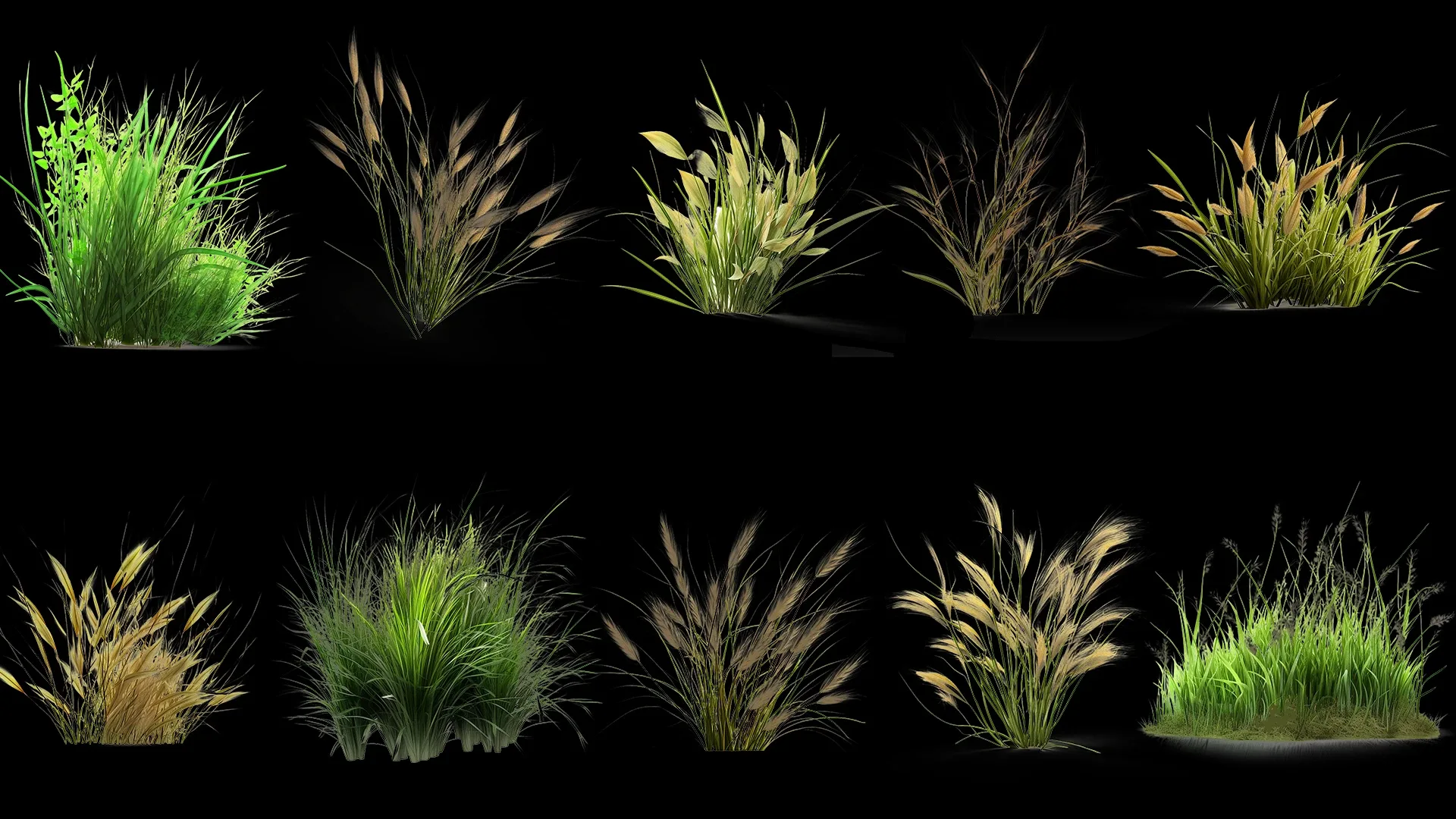 100 Grass and Weeds Images (PNG & Transparent Files)-4K- High Quality