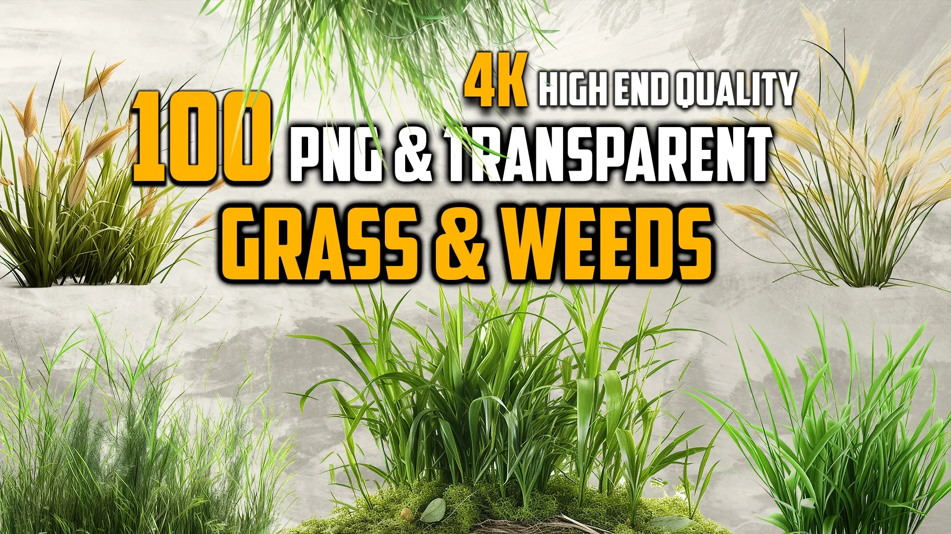 100 Grass and Weeds Images (PNG & Transparent Files)-4K- High Quality