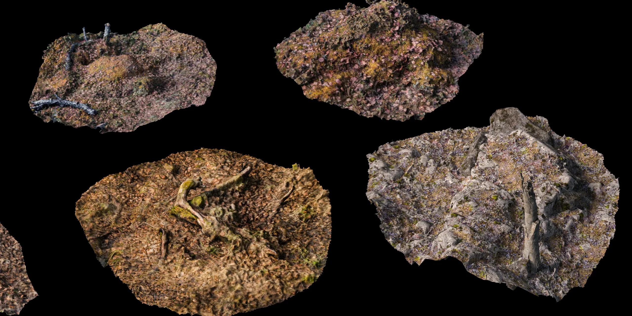 PBR Nature Photogrammetry Bundle - 16K Textures