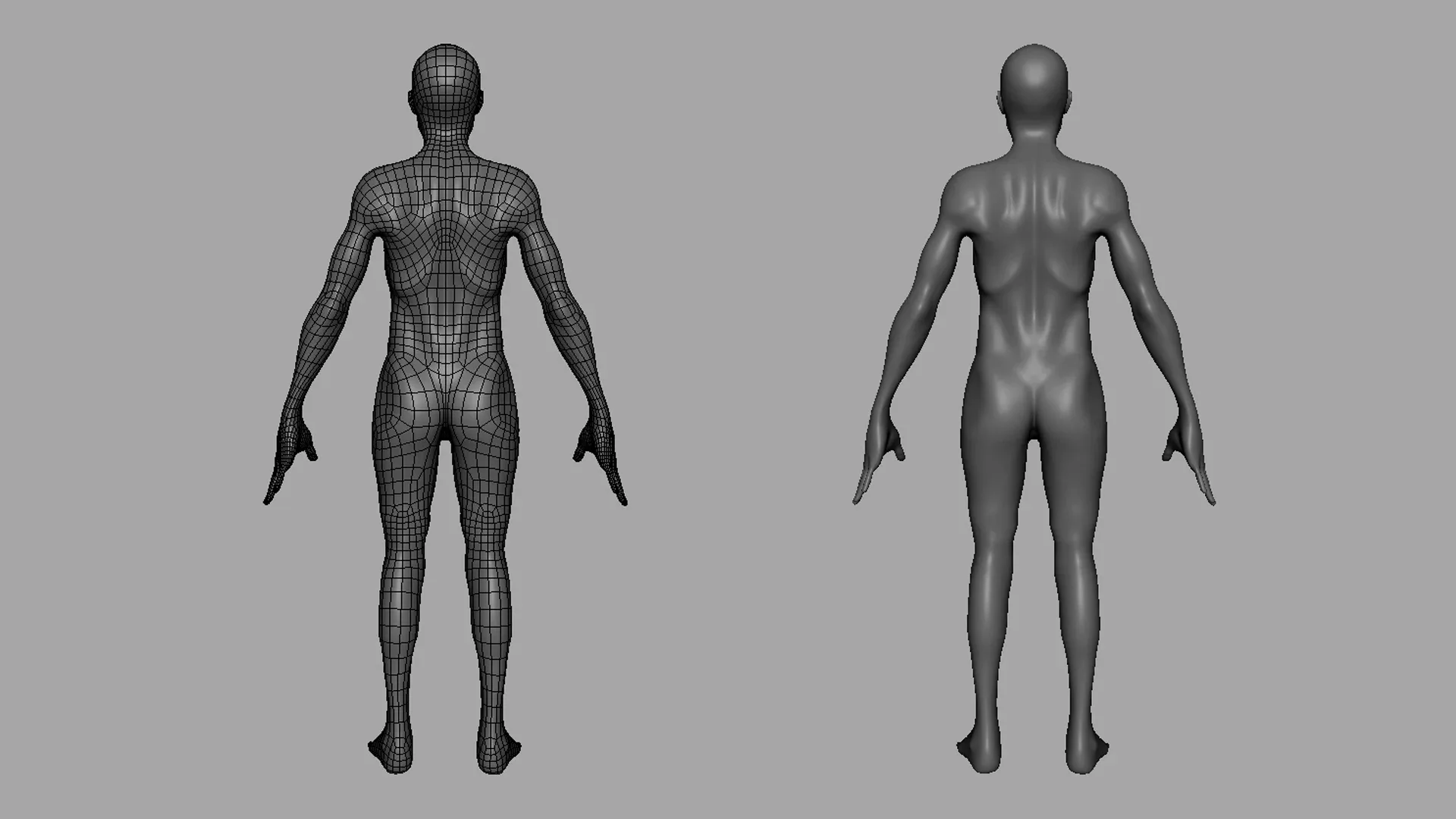 Blender - Thin Male BaseMesh Anatomy - Topology + UV Map