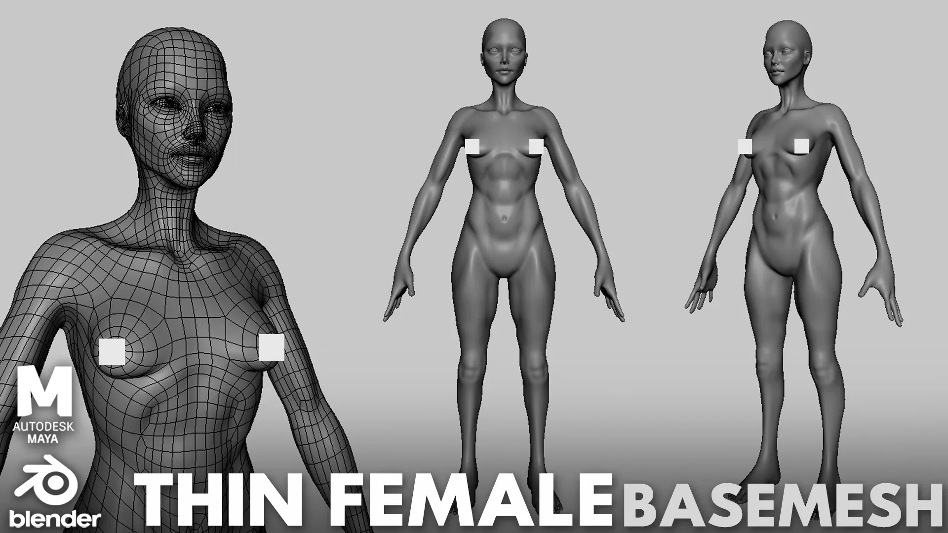 Blender - Thin Male& Female BaseMesh Anatomy - Topology + UV Map