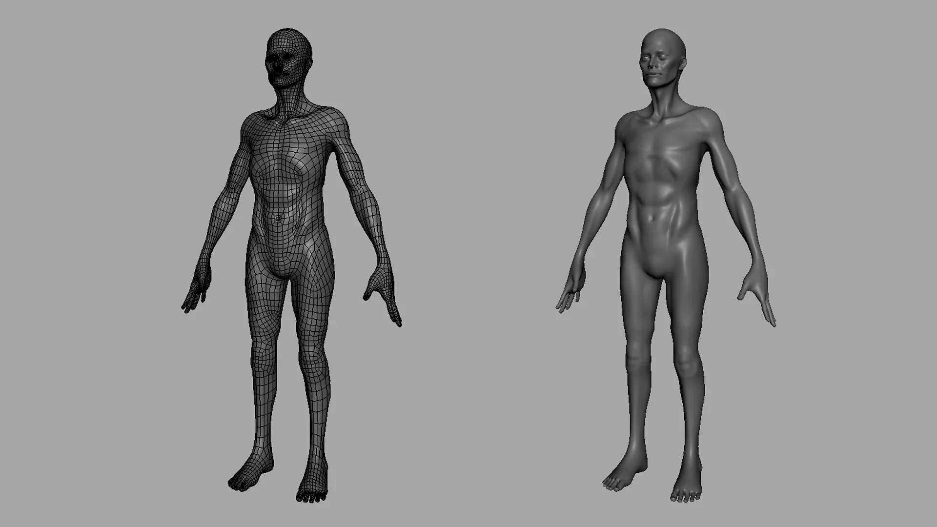 Blender - Thin Male& Female BaseMesh Anatomy - Topology + UV Map