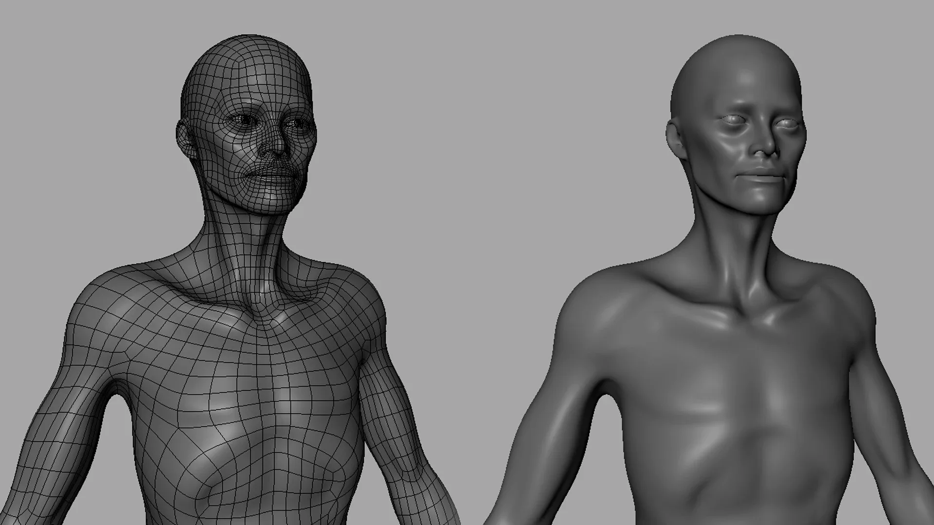 Blender - Thin Male& Female BaseMesh Anatomy - Topology + UV Map