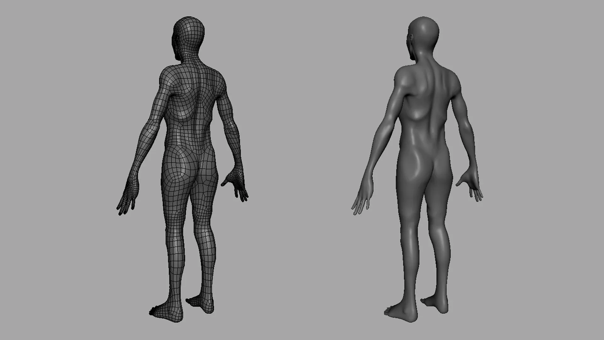 Blender - Thin Male& Female BaseMesh Anatomy - Topology + UV Map