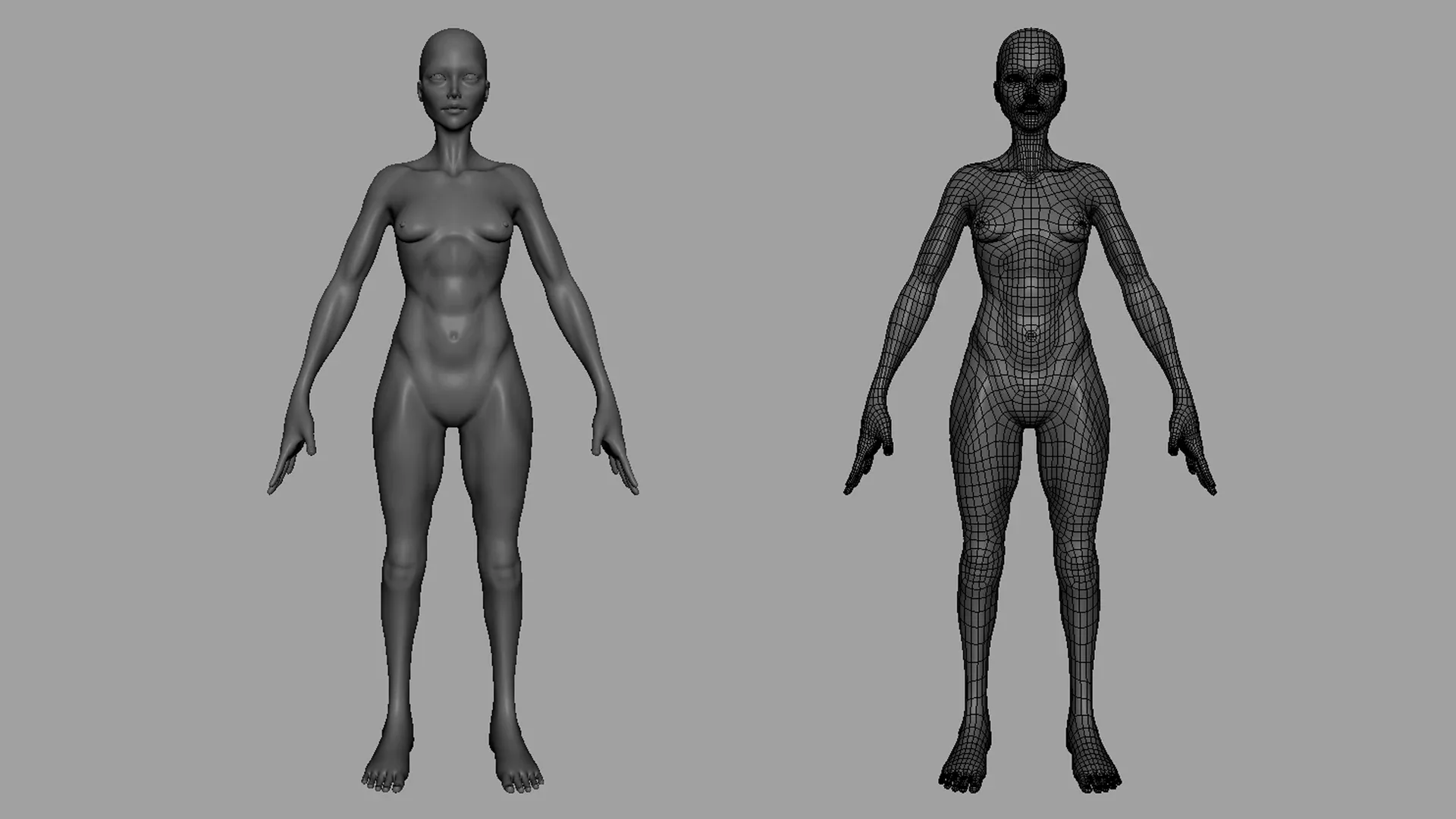 Blender - Thin Male& Female BaseMesh Anatomy - Topology + UV Map