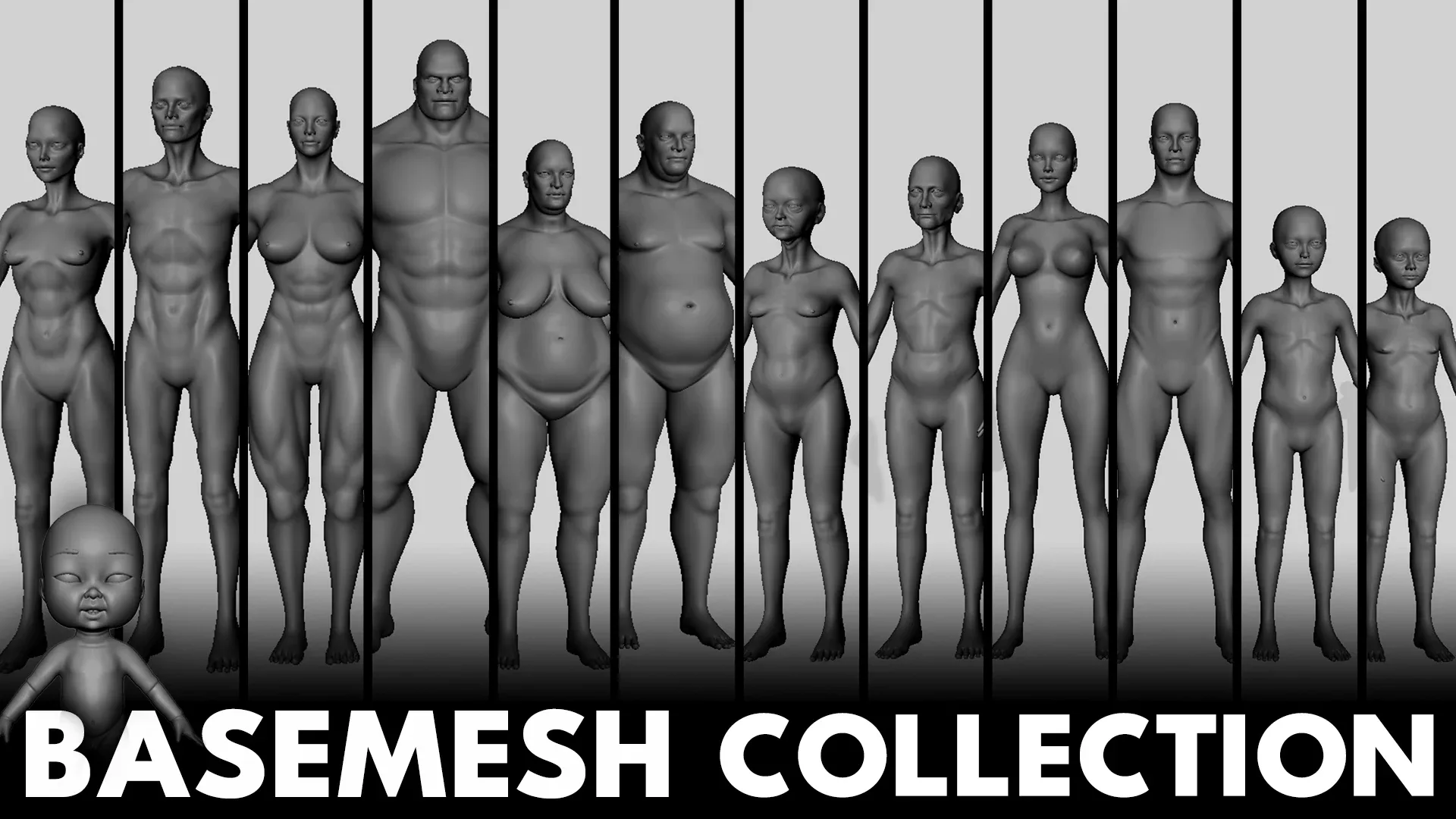 BaseMesh Collection Anatomy - Topology + UV